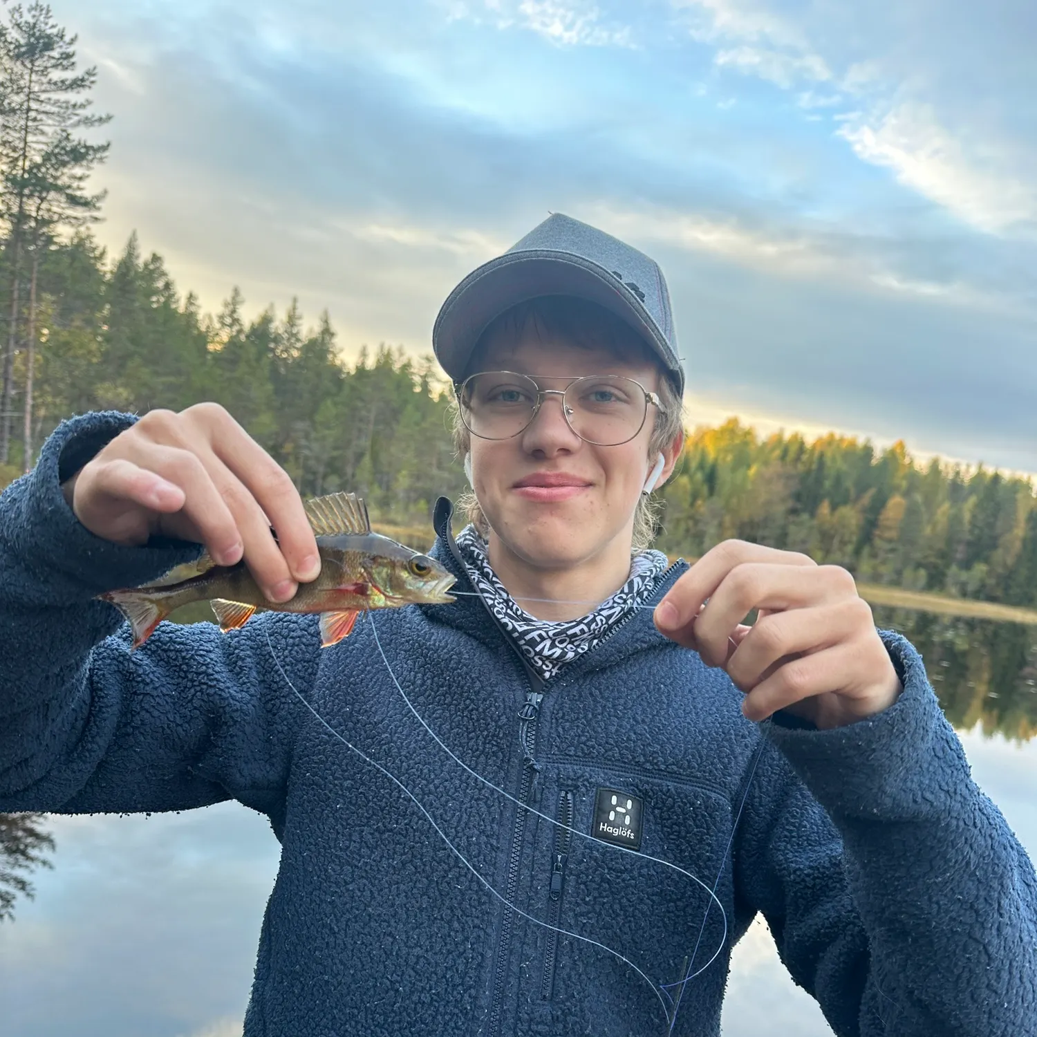 European perch caught on Fishbrain