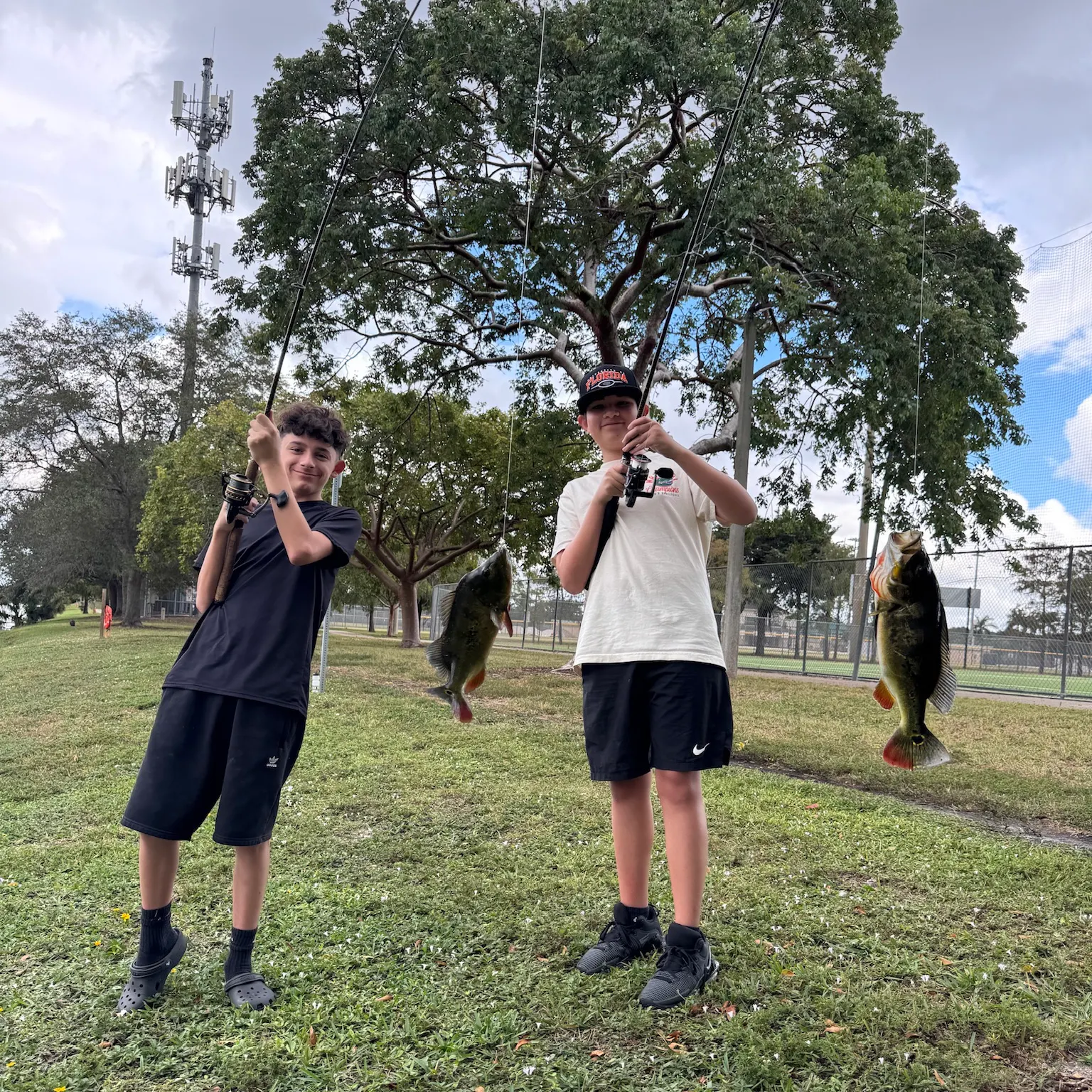 catch