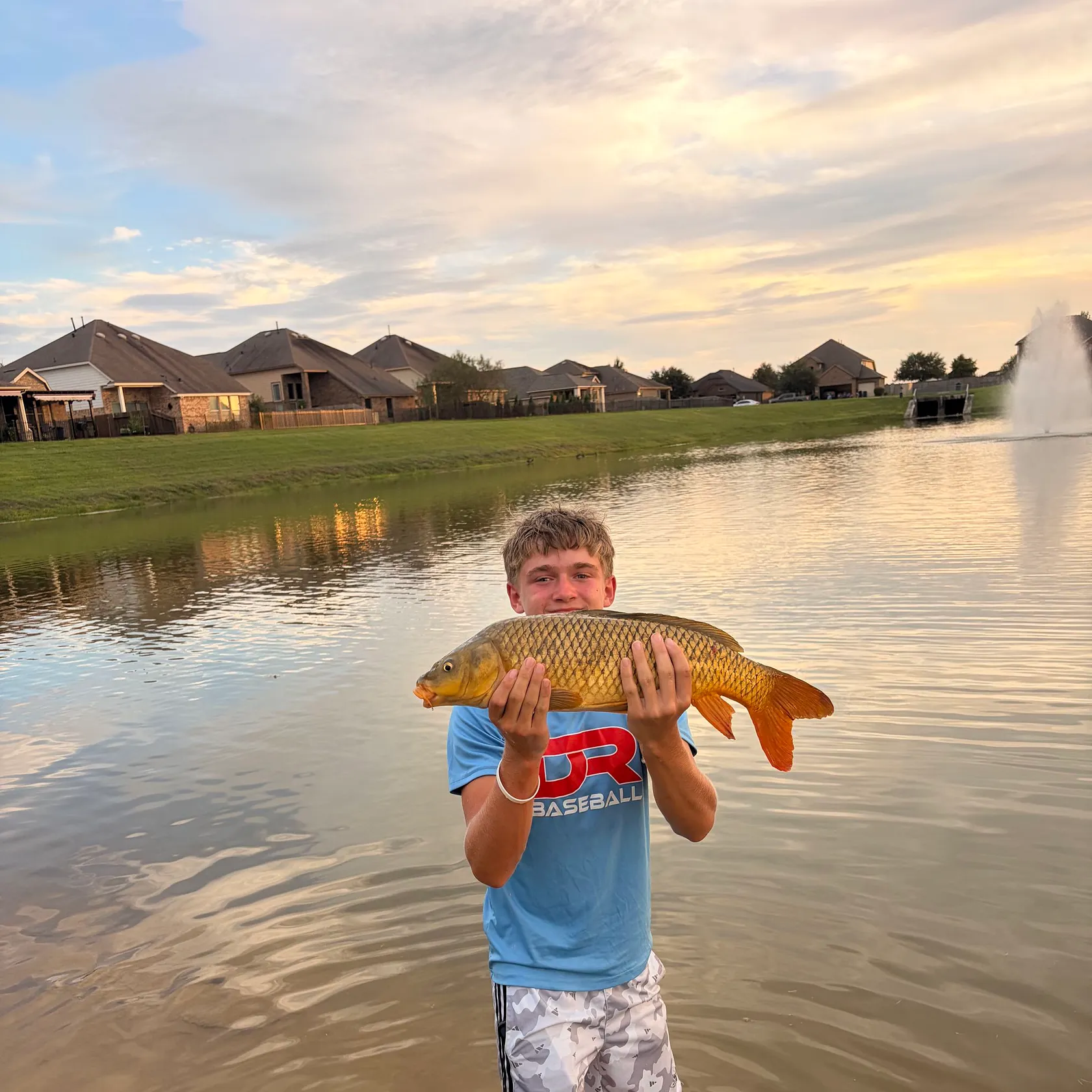 Common carp caught on Fishbrain