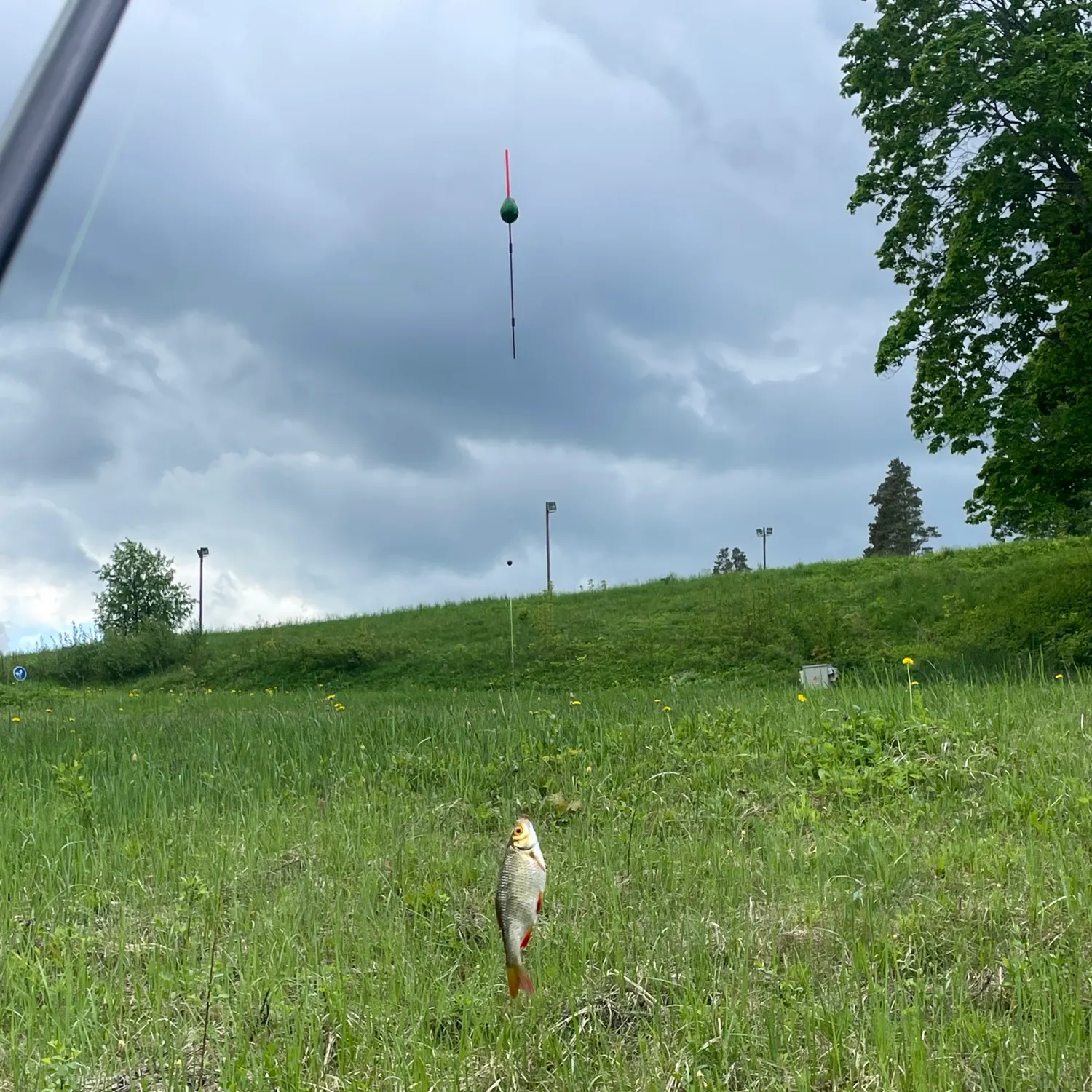 catch