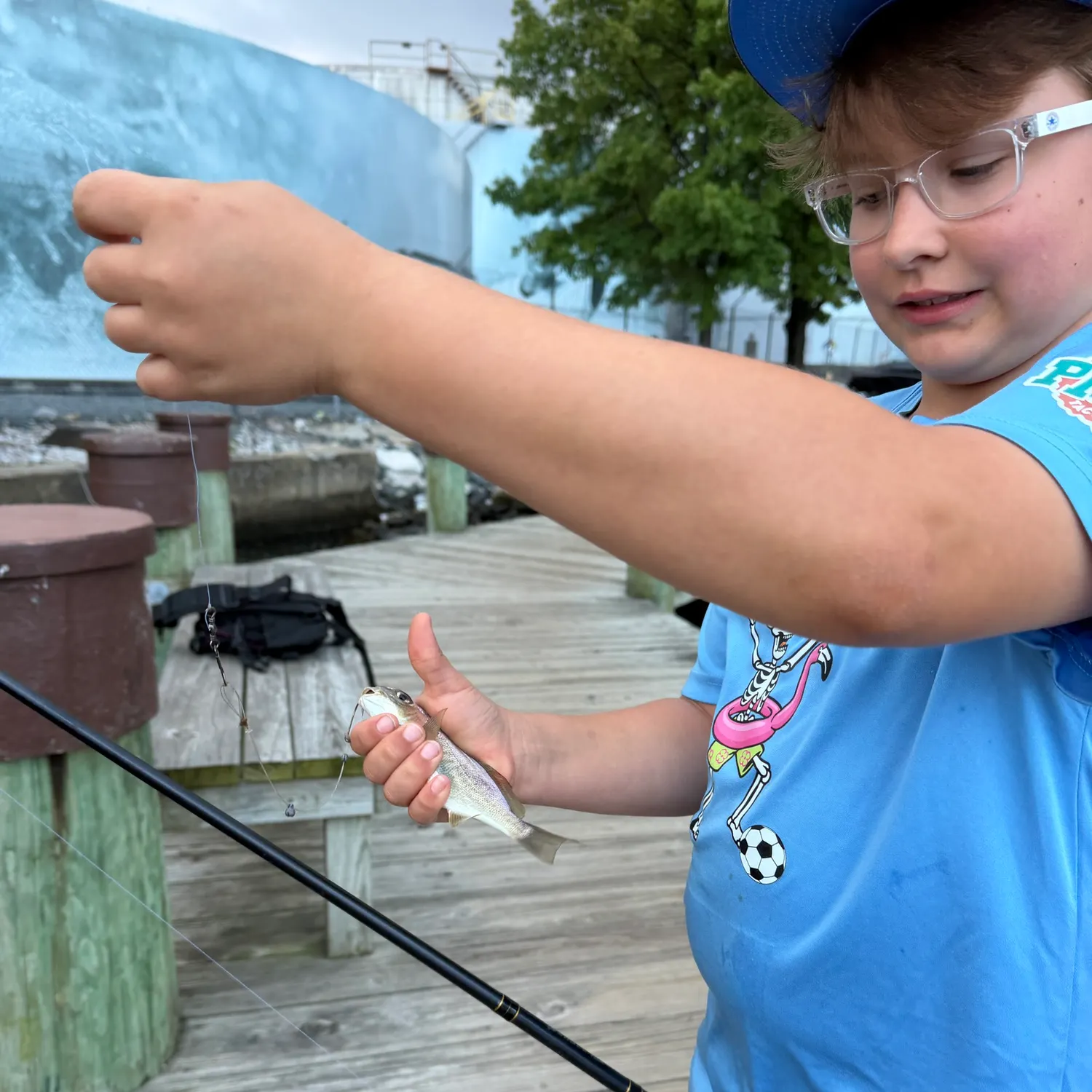 Spot croaker caught on Fishbrain