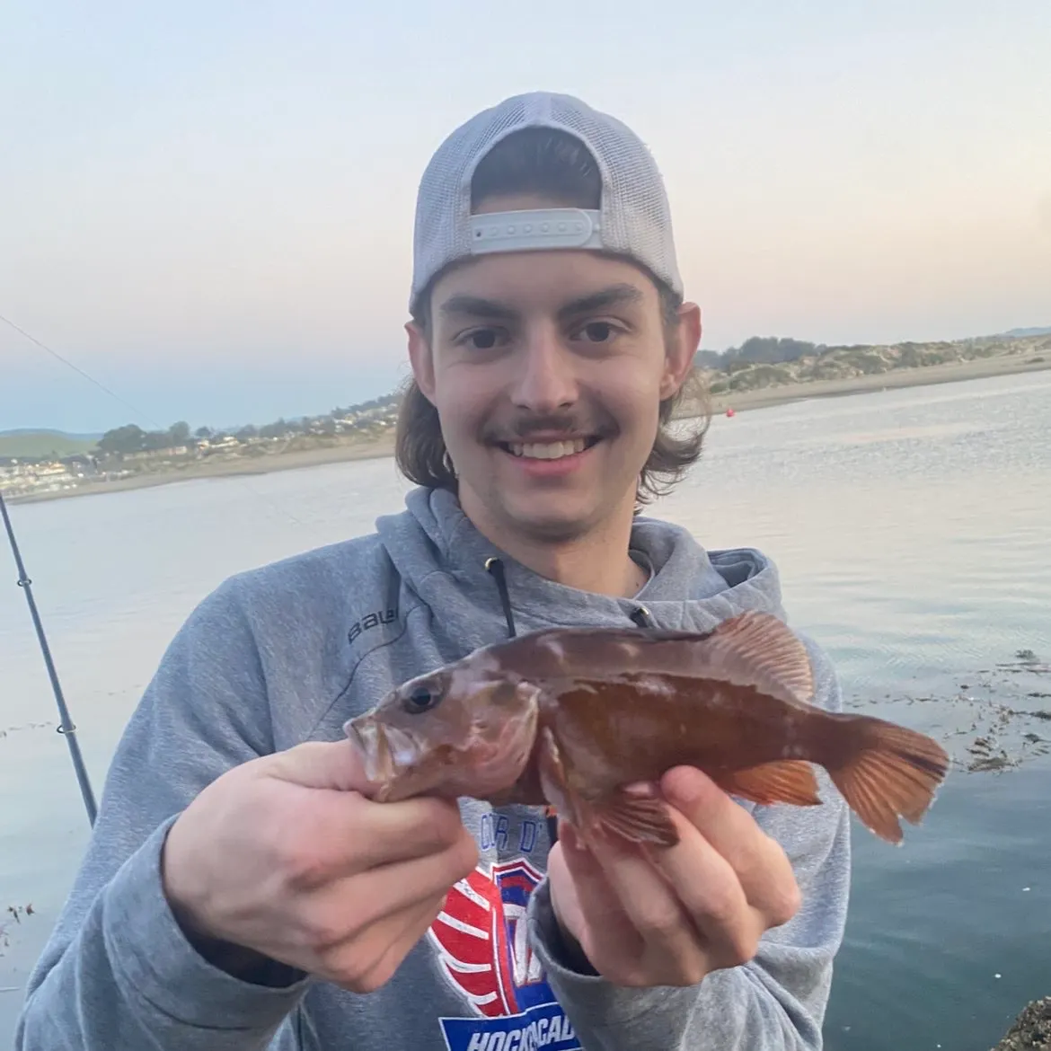 The most recent Copper rockfish catches on Fishbrain