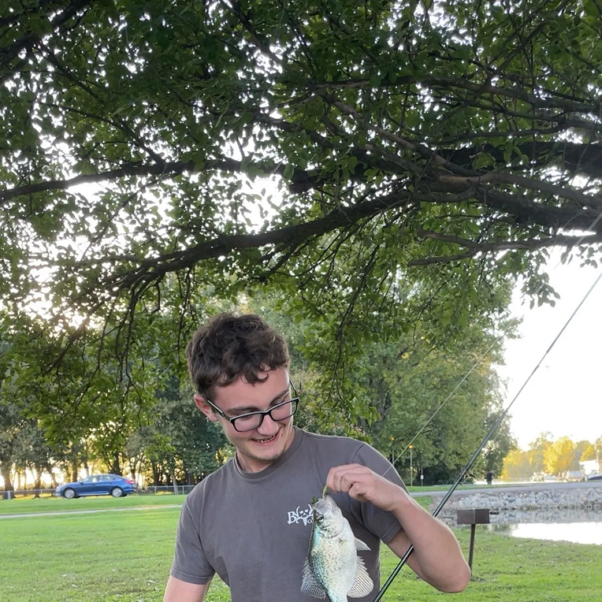 Black crappie caught on Fishbrain