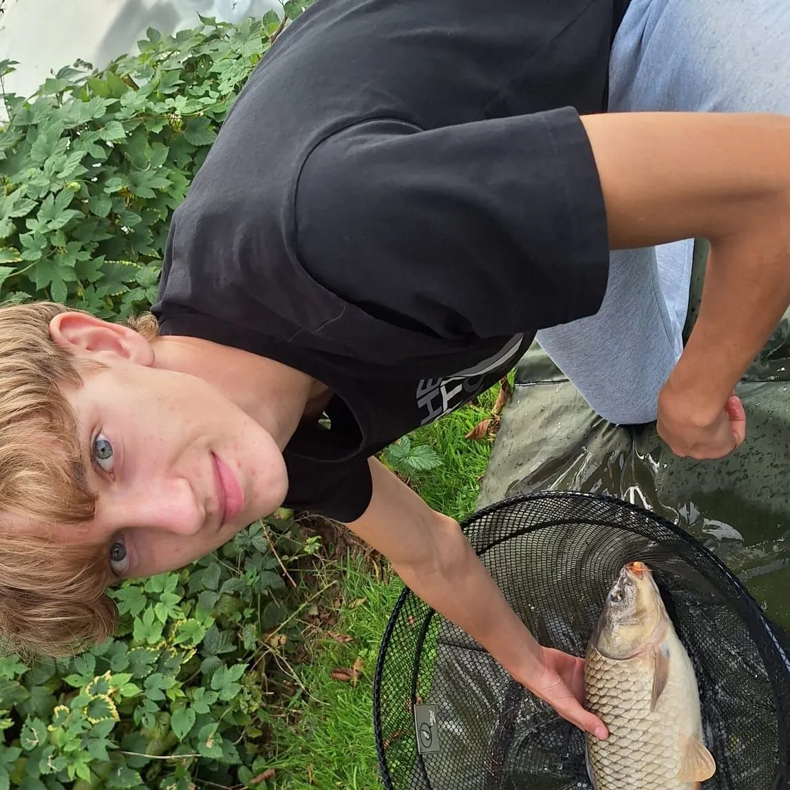 Common carp caught on Fishbrain