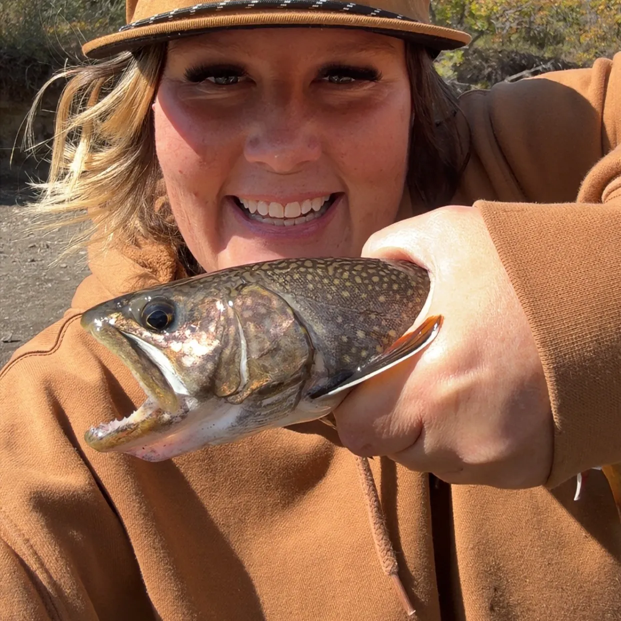 Brook trout caught on Fishbrain