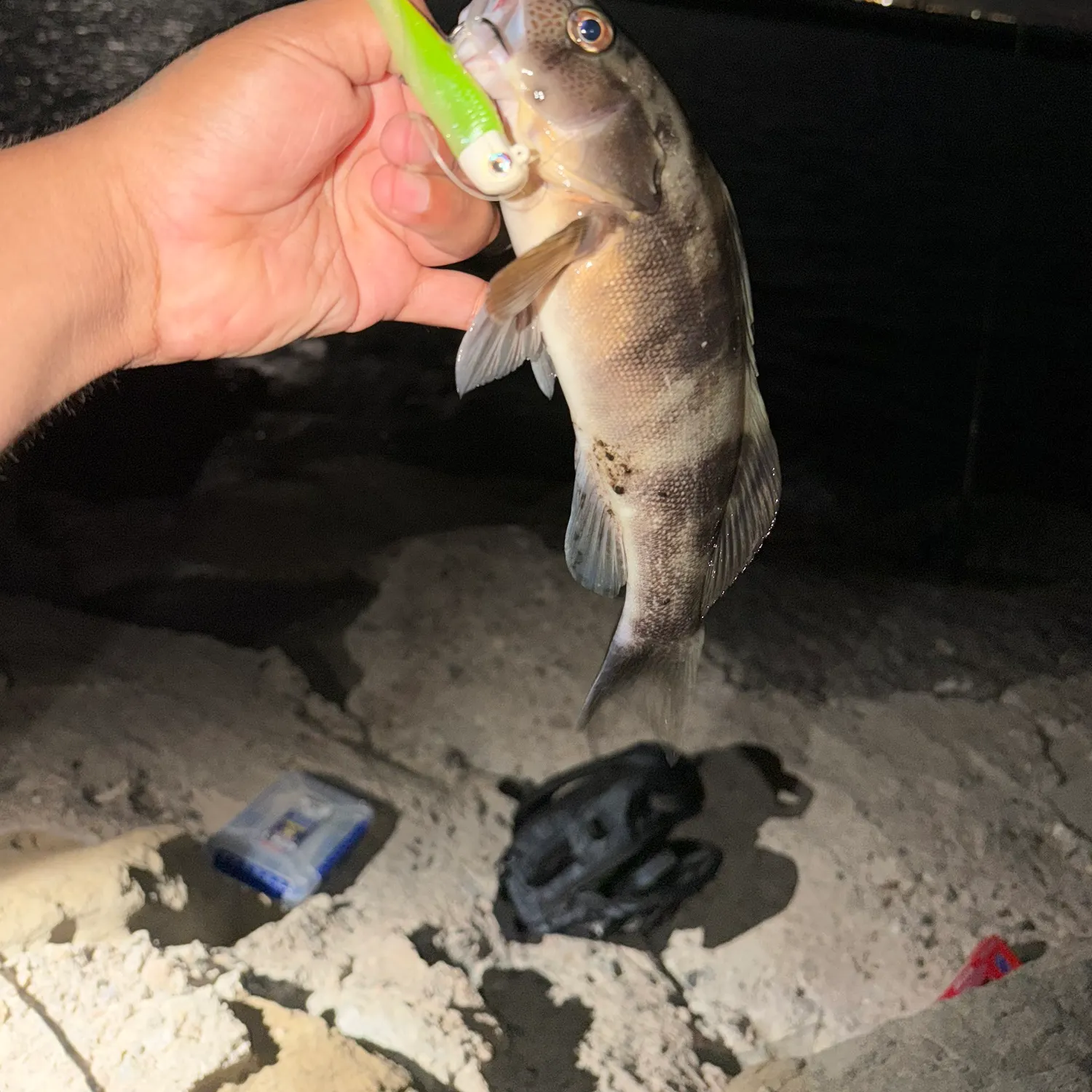 catch