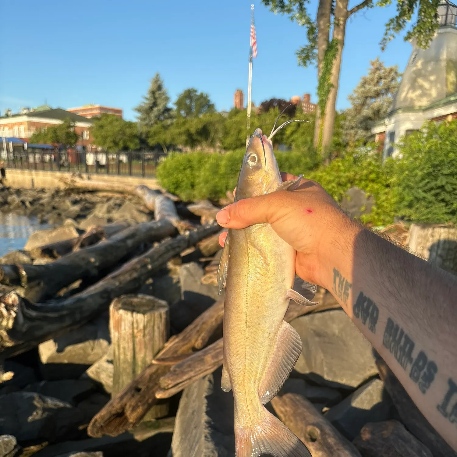 catch