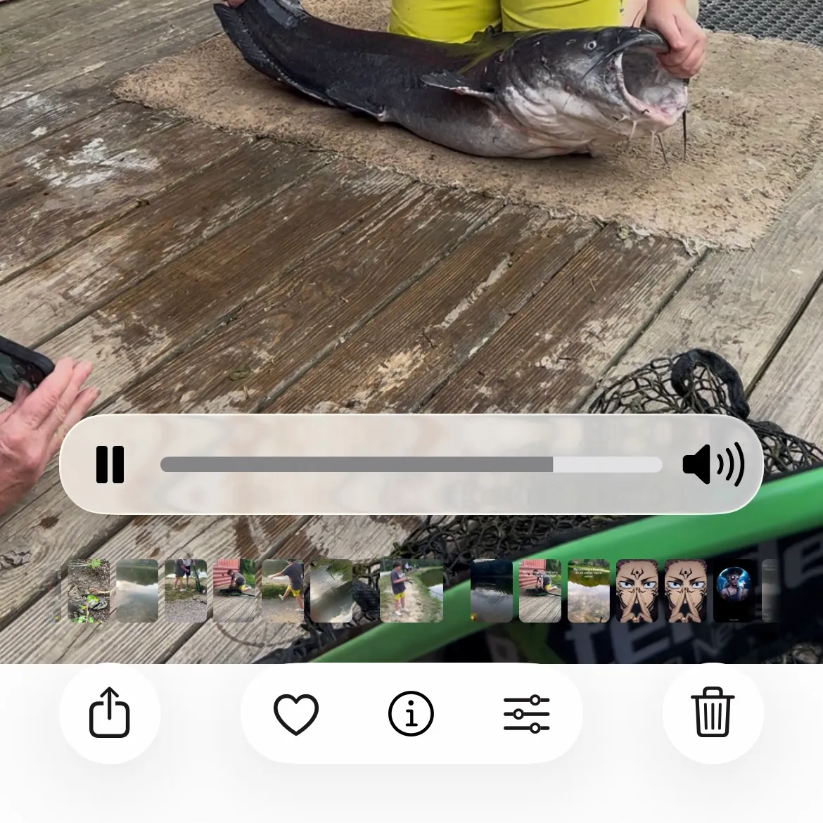 recently logged catches