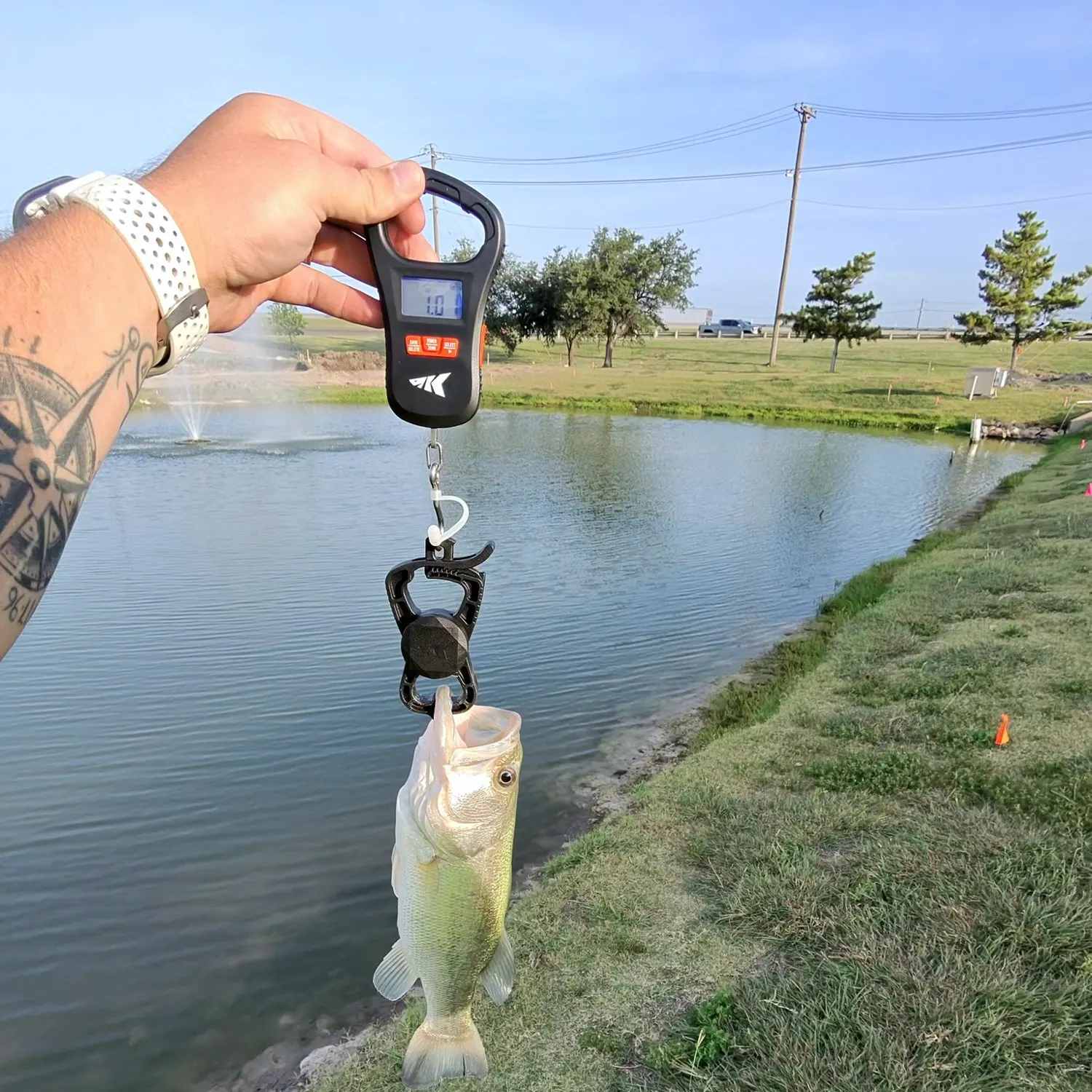 Largemouth bass caught on Fishbrain