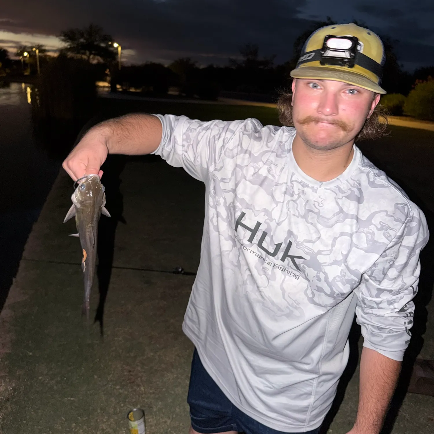 Channel catfish caught on Fishbrain