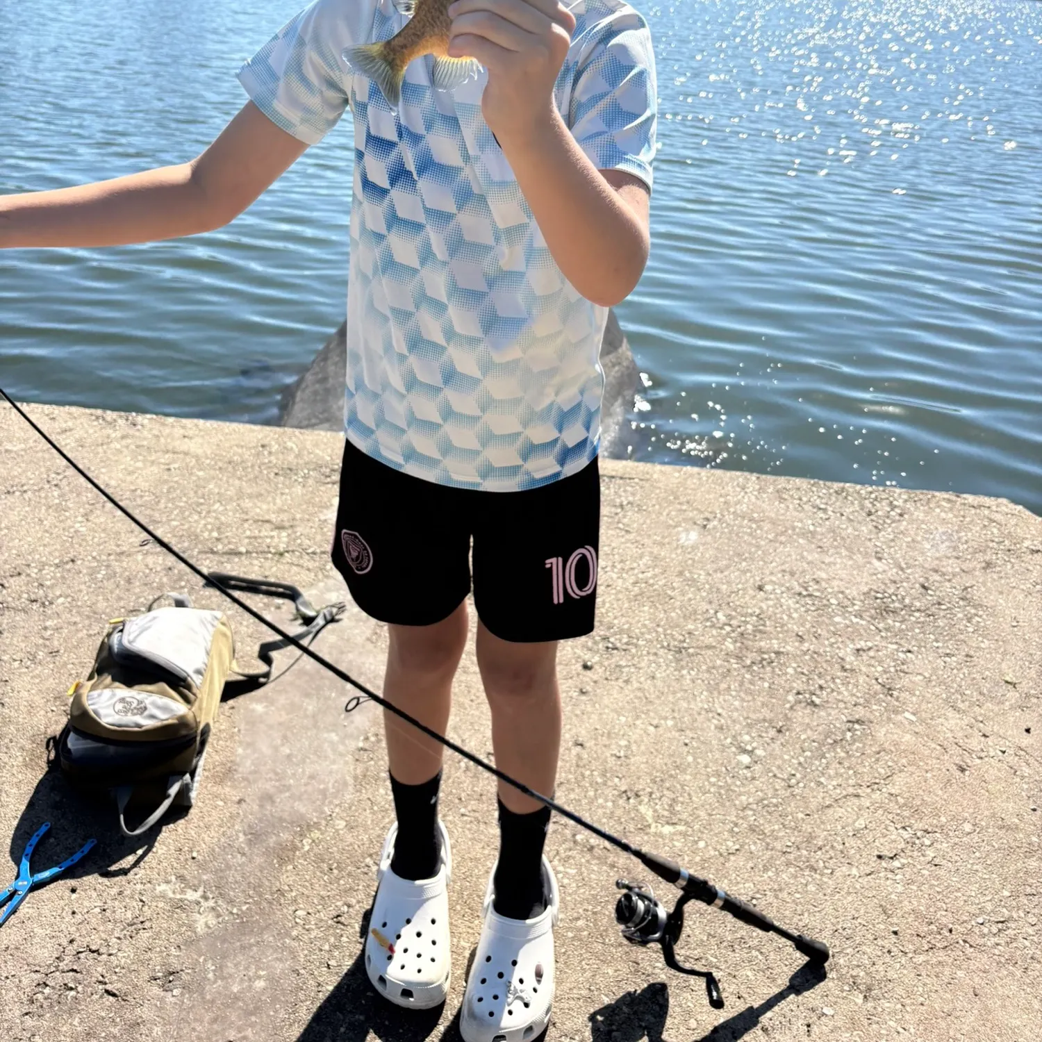 Bluegill caught on Fishbrain