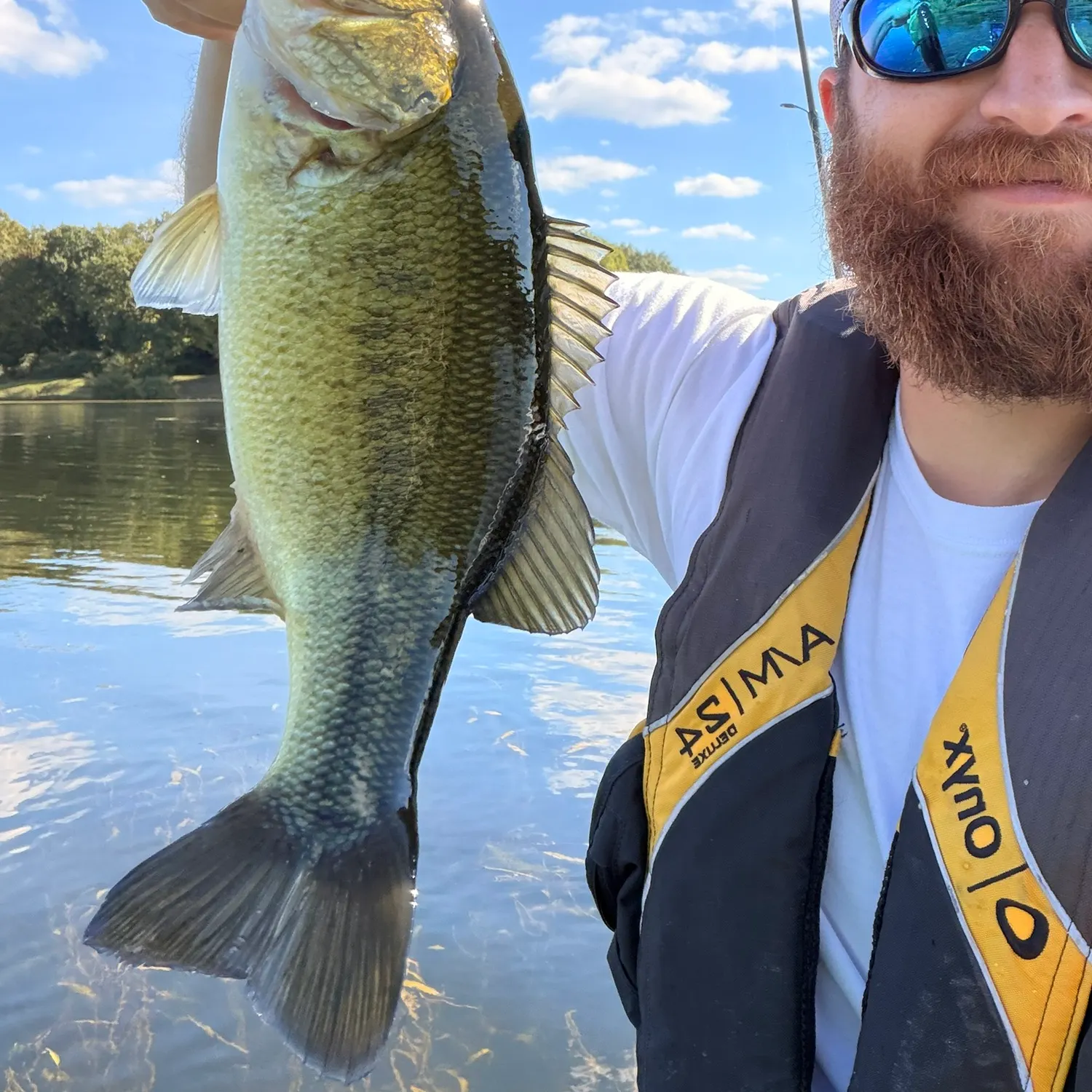 Largemouth bass caught on Fishbrain