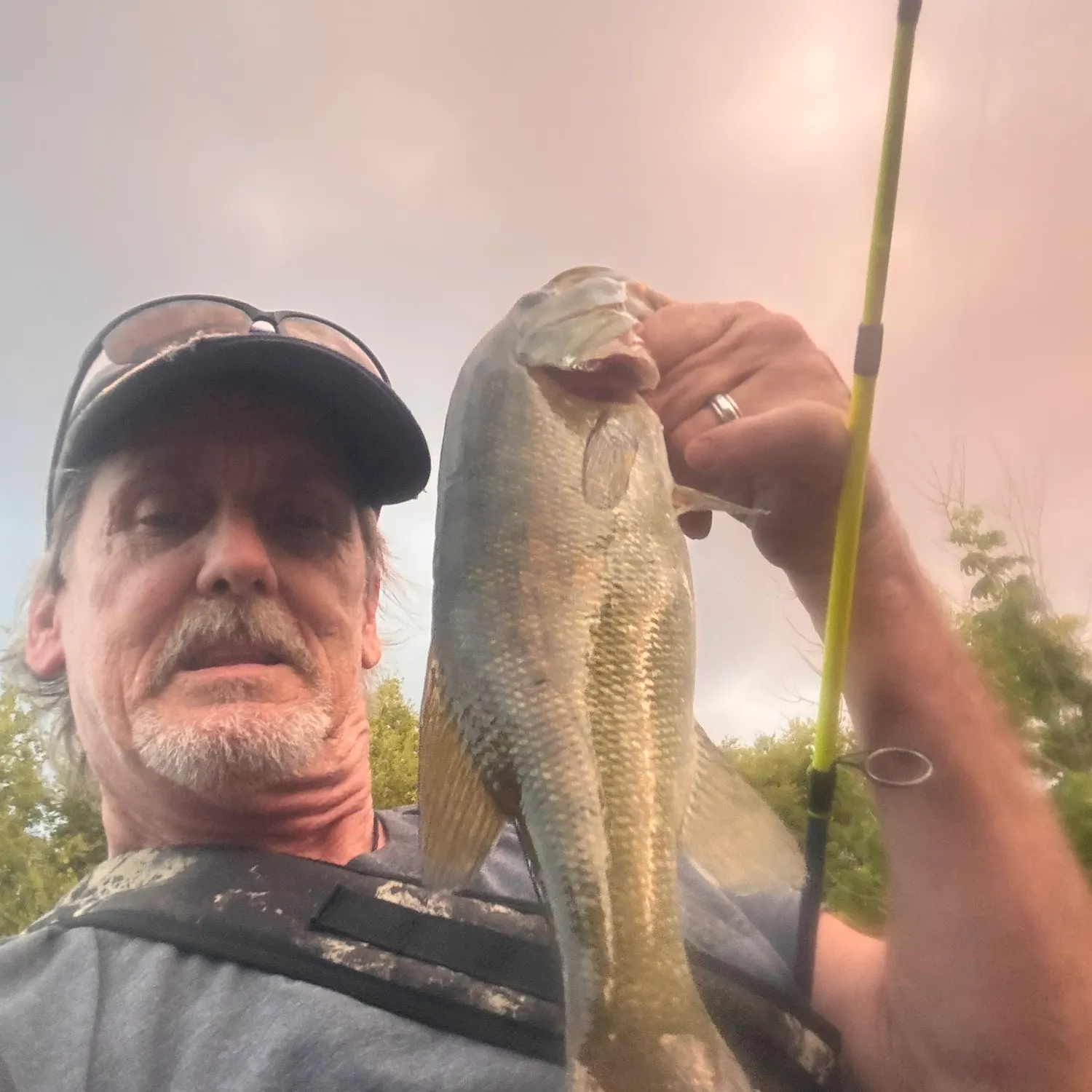 Smallmouth bass caught on Fishbrain