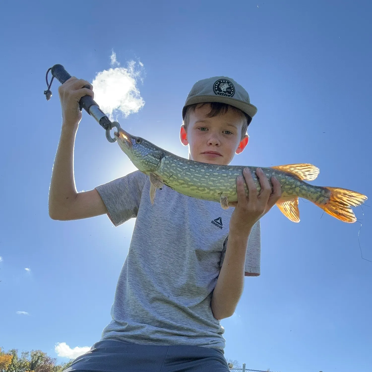 Northern pike caught on Fishbrain