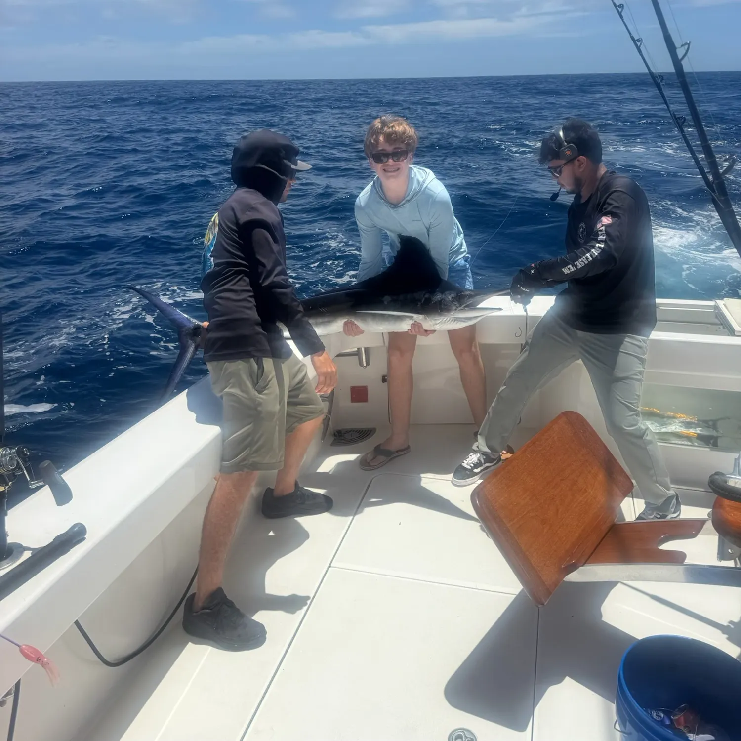 The most recent Indo-Pacific sailfish catches on Fishbrain