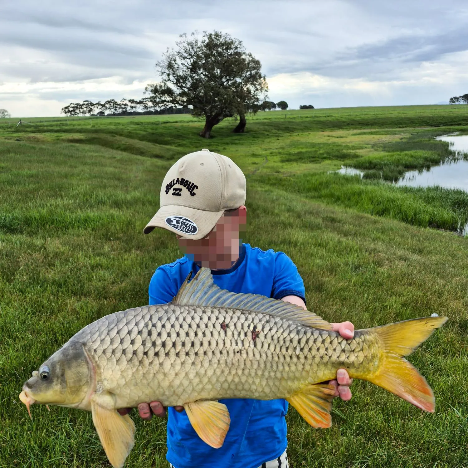 Common carp caught on Fishbrain
