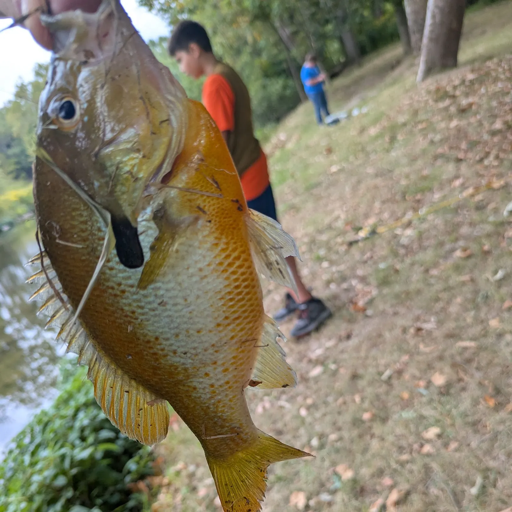 catch