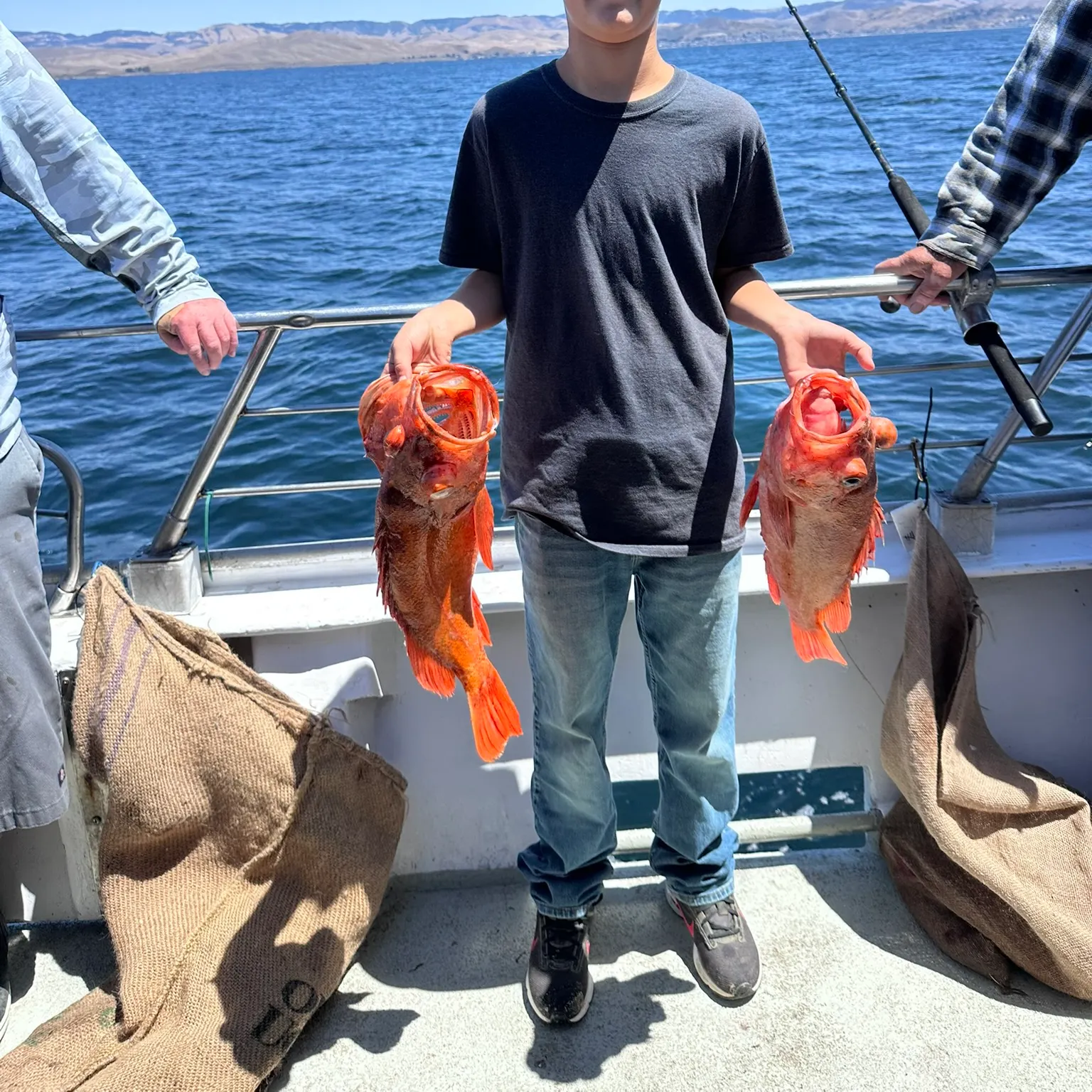 The most recent Vermilion rockfish catches on Fishbrain