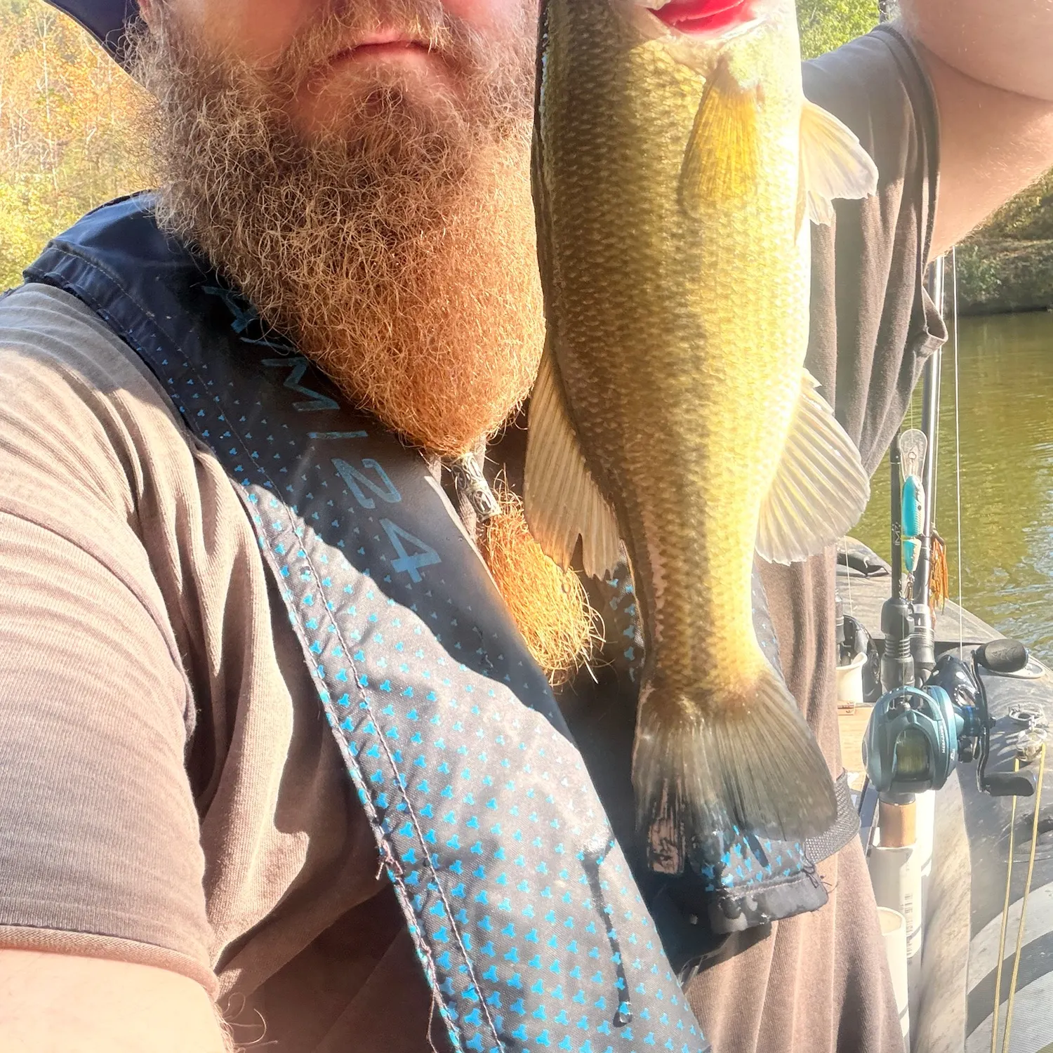 Largemouth bass caught on Fishbrain