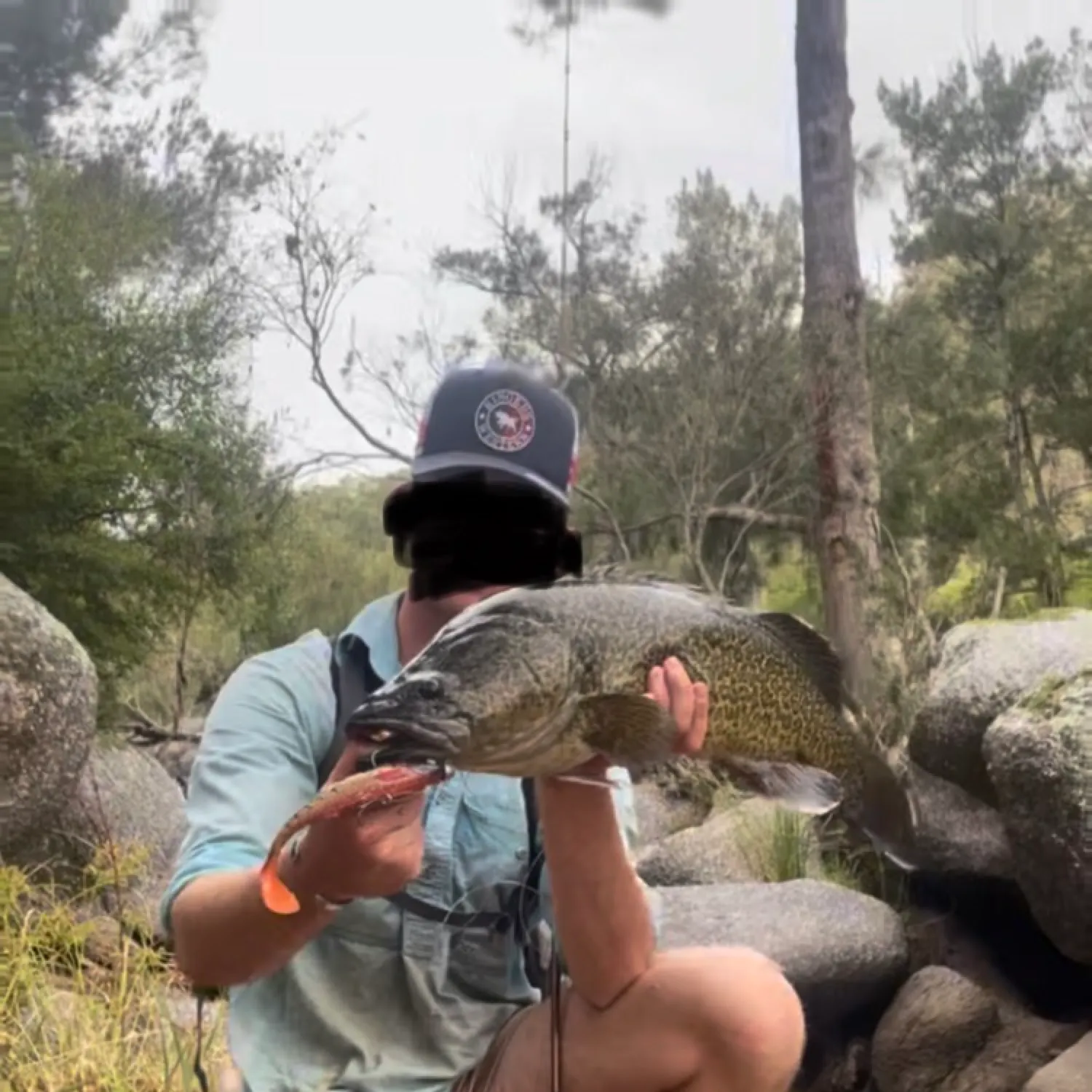 most liked catch image