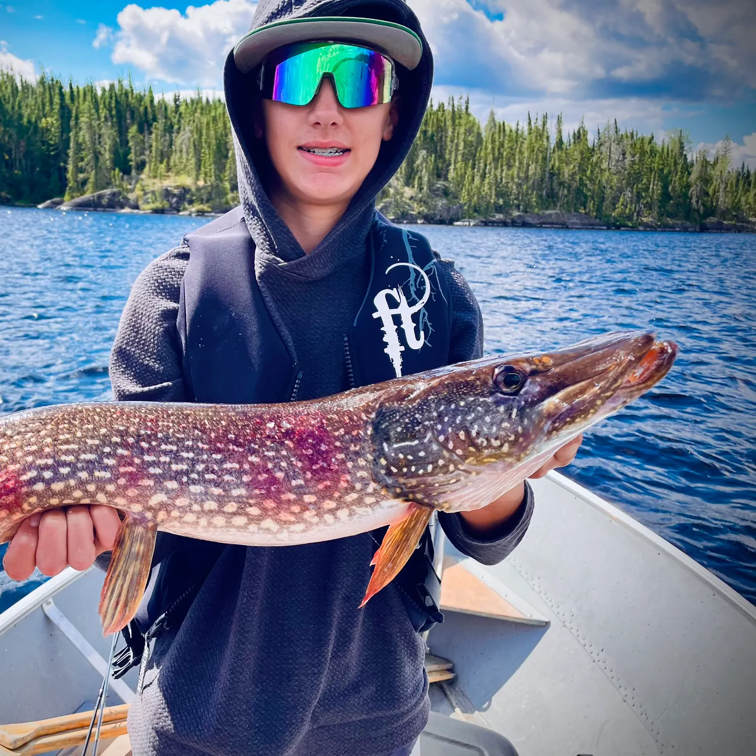 Northern pike caught on Fishbrain