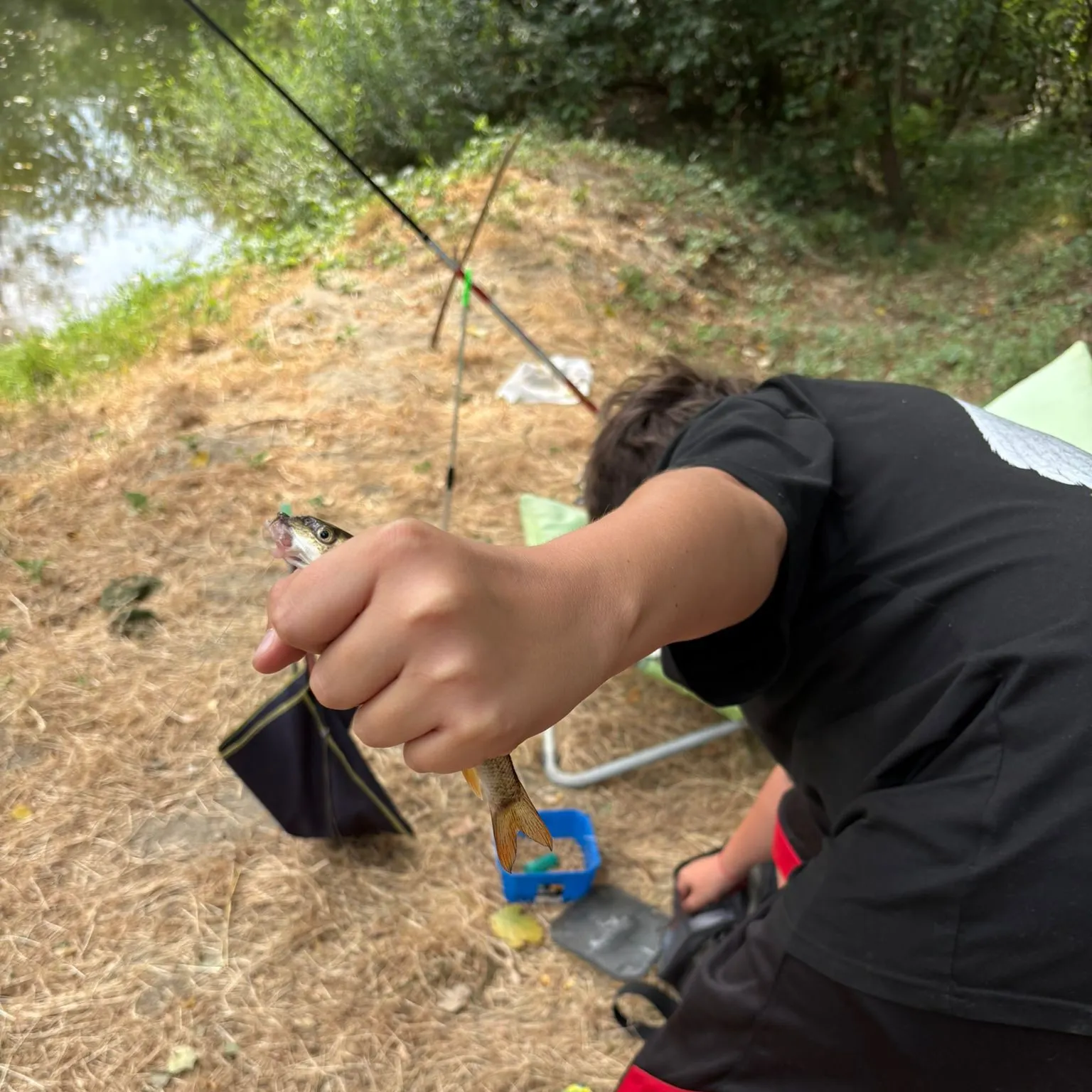 The most recent Common barbel catches on Fishbrain