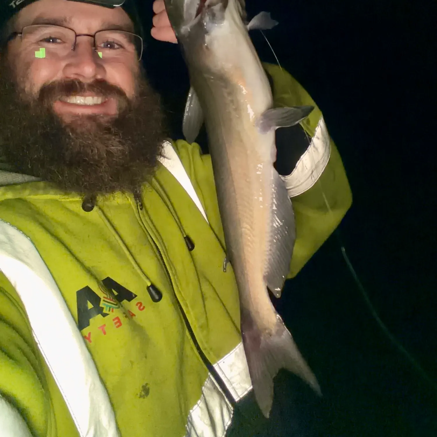 Channel catfish caught on Fishbrain