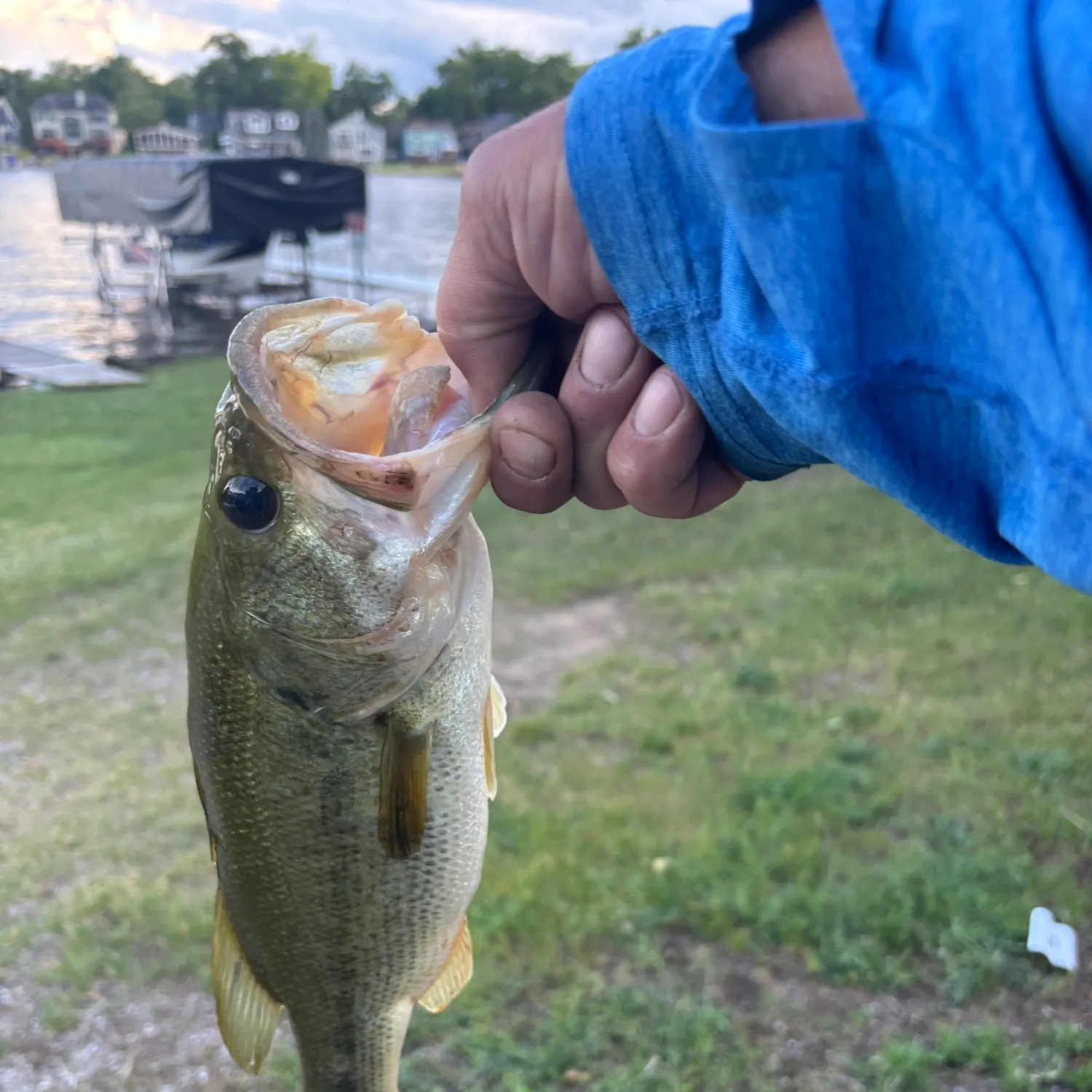 catch