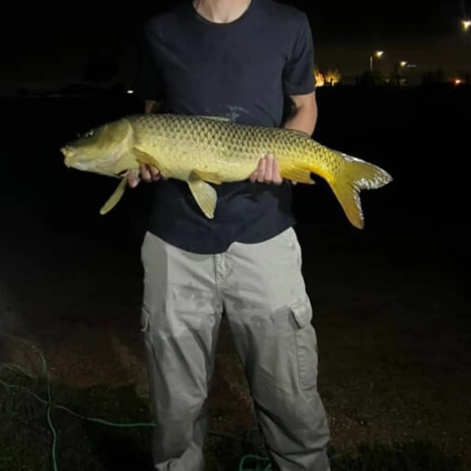The most recent Common carp catches on Fishbrain