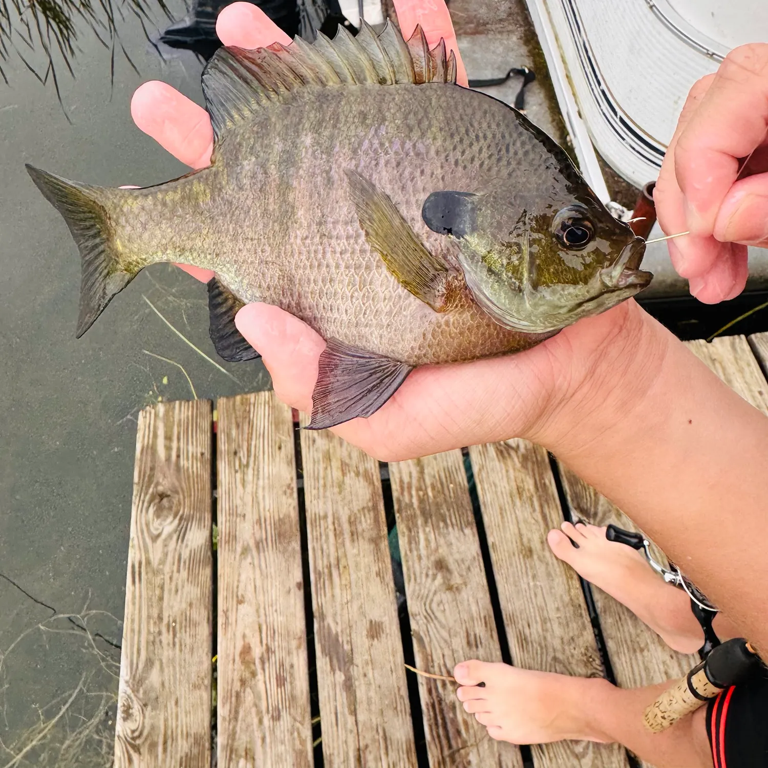 catch
