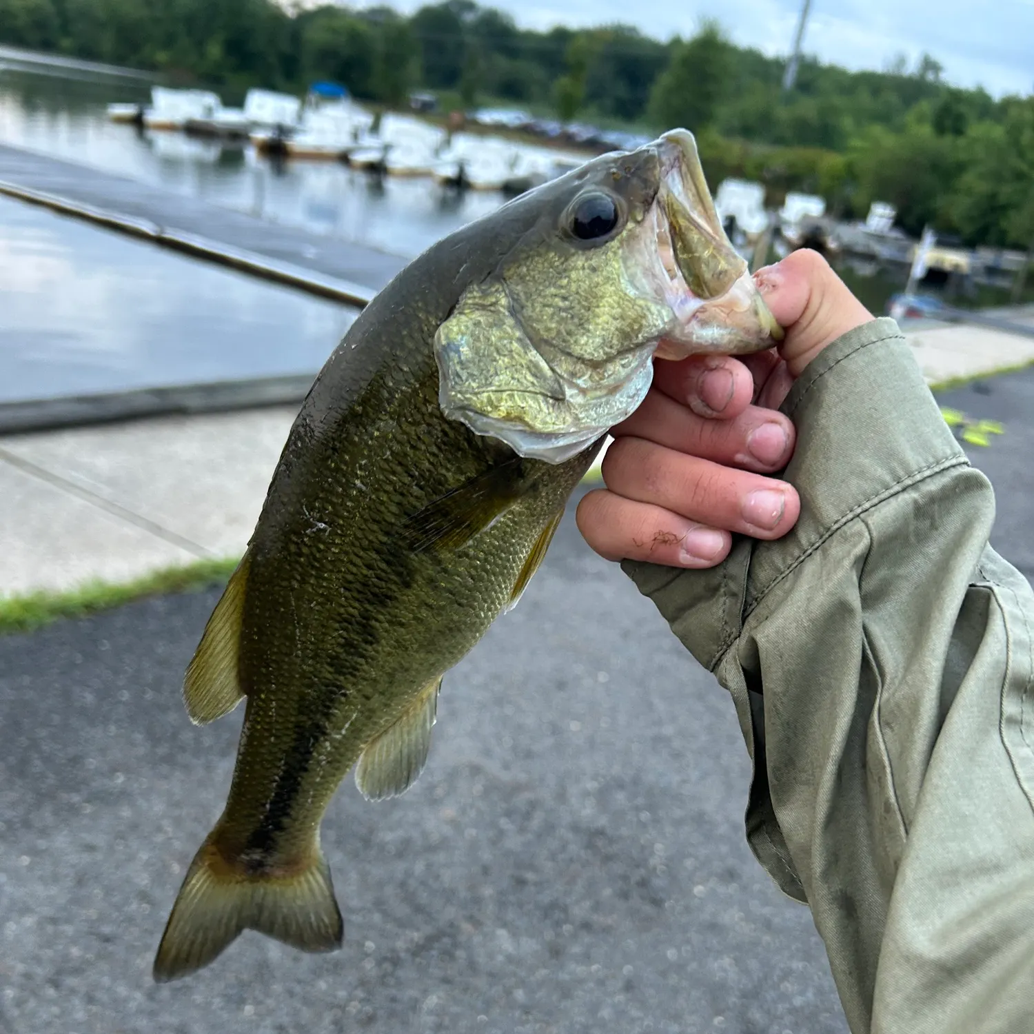 catch
