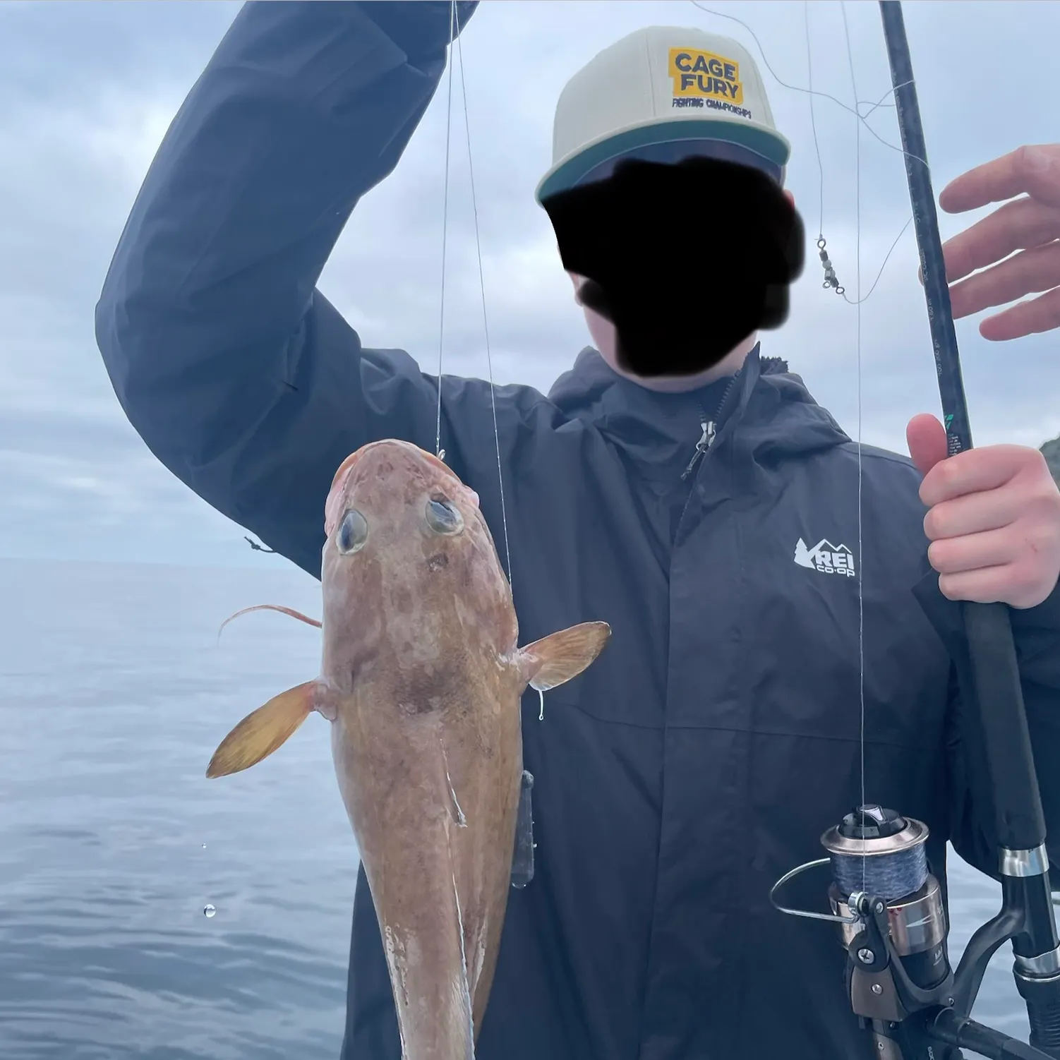 The most recent Forkbeard catches on Fishbrain