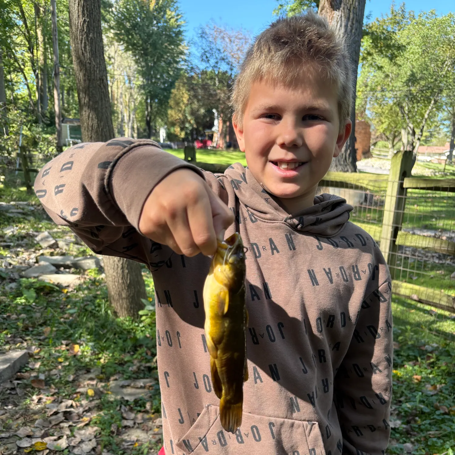 Yellow bullhead caught on Fishbrain