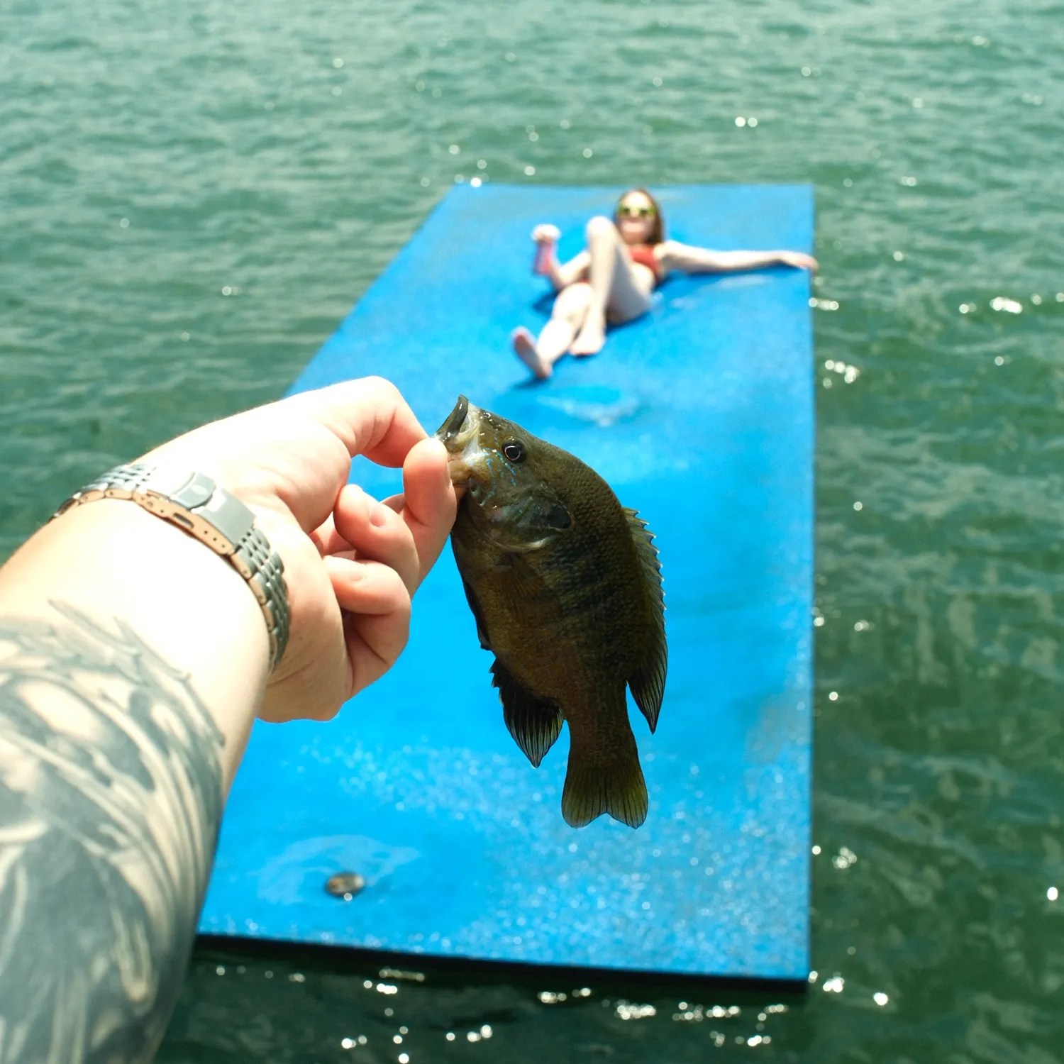 recently logged catches