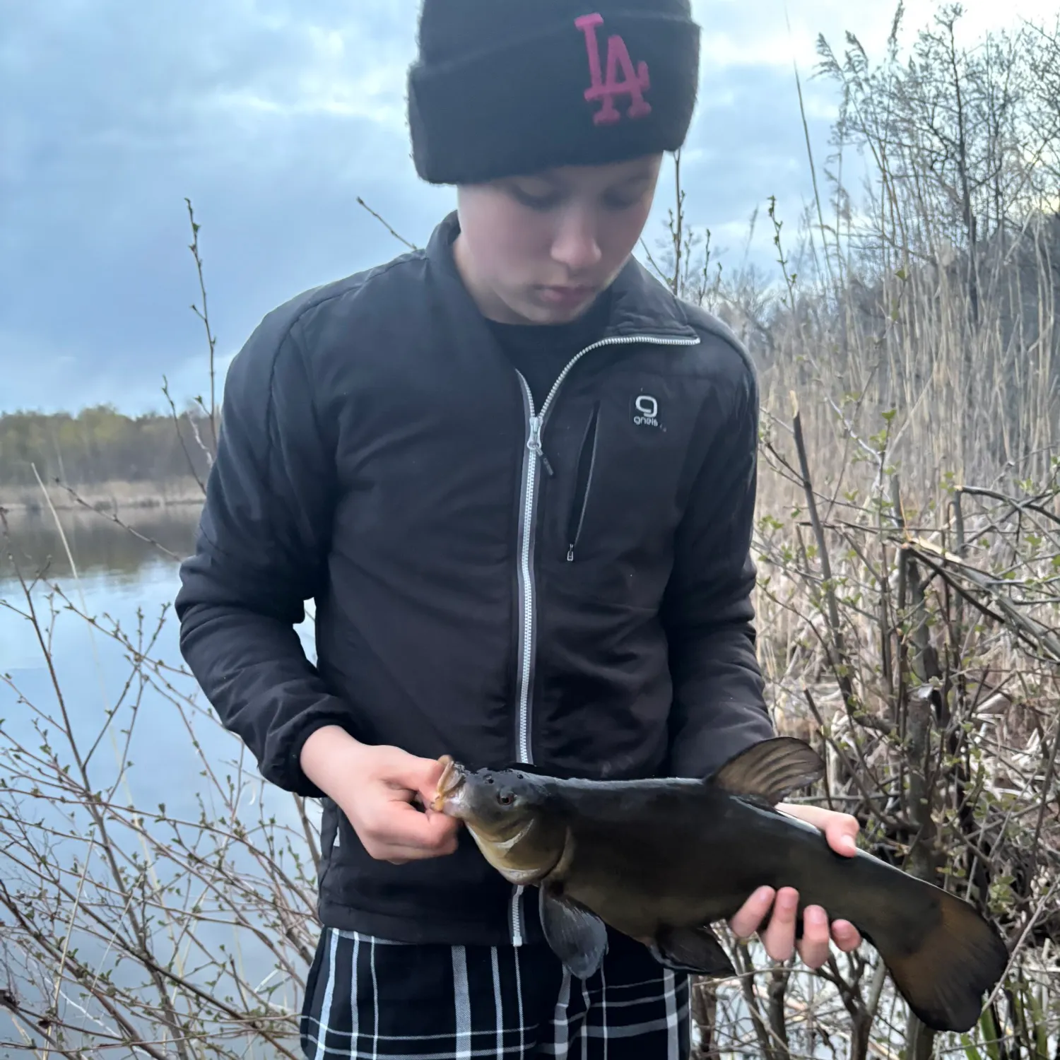 The most recent Tench catches on Fishbrain