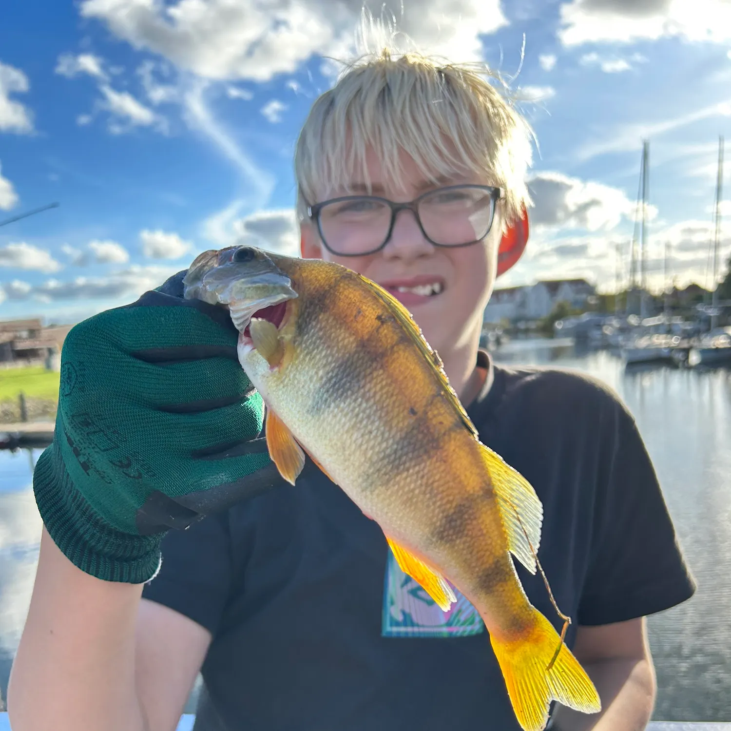 European perch caught on Fishbrain
