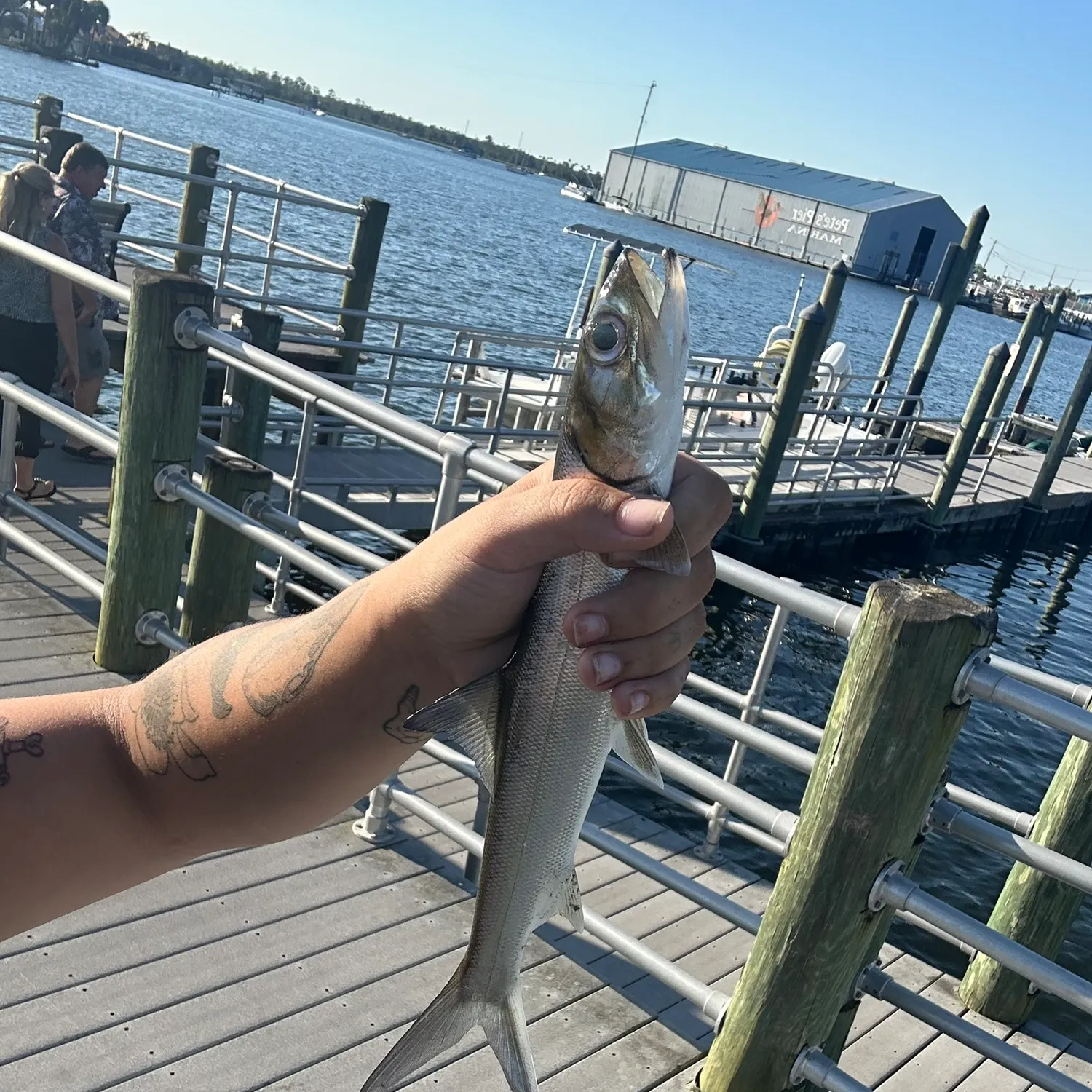 catch