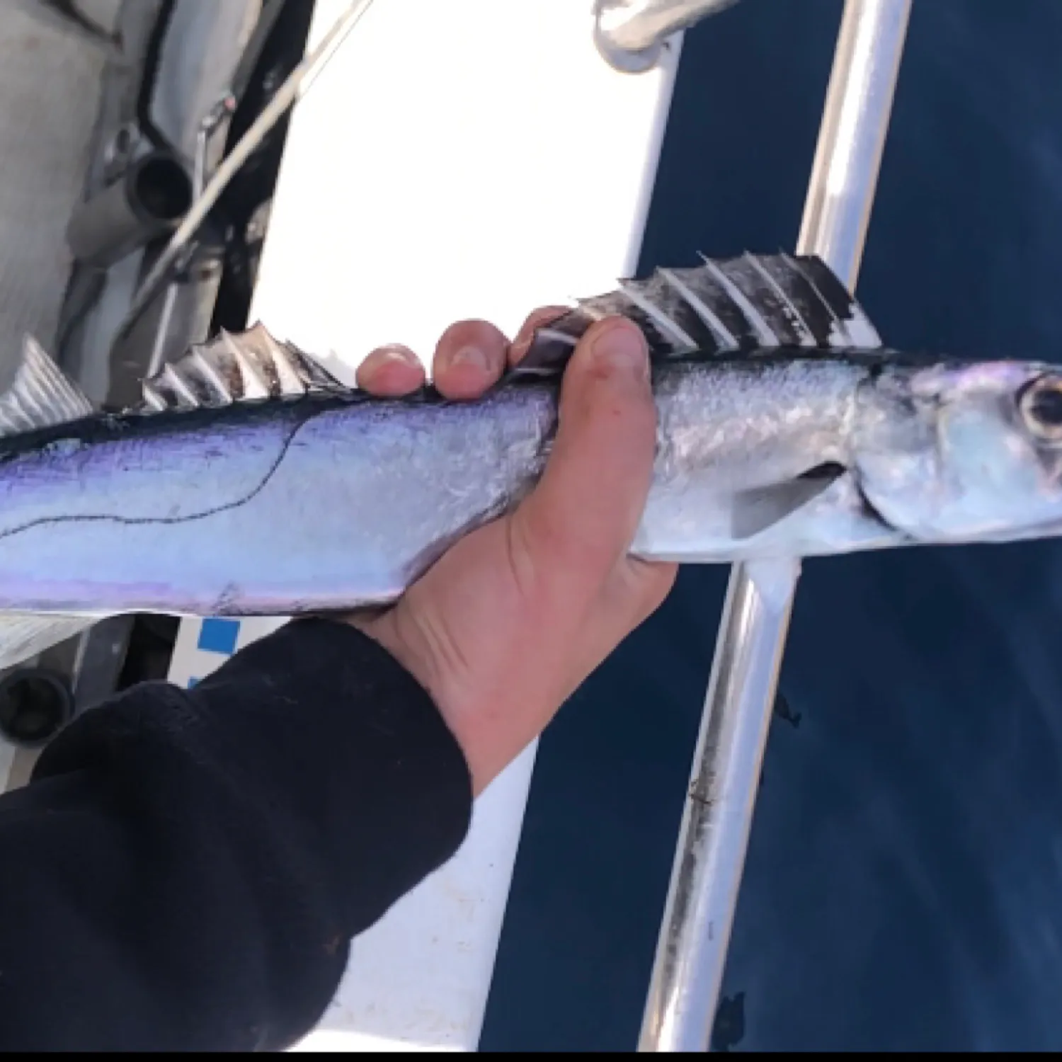 most liked catch image