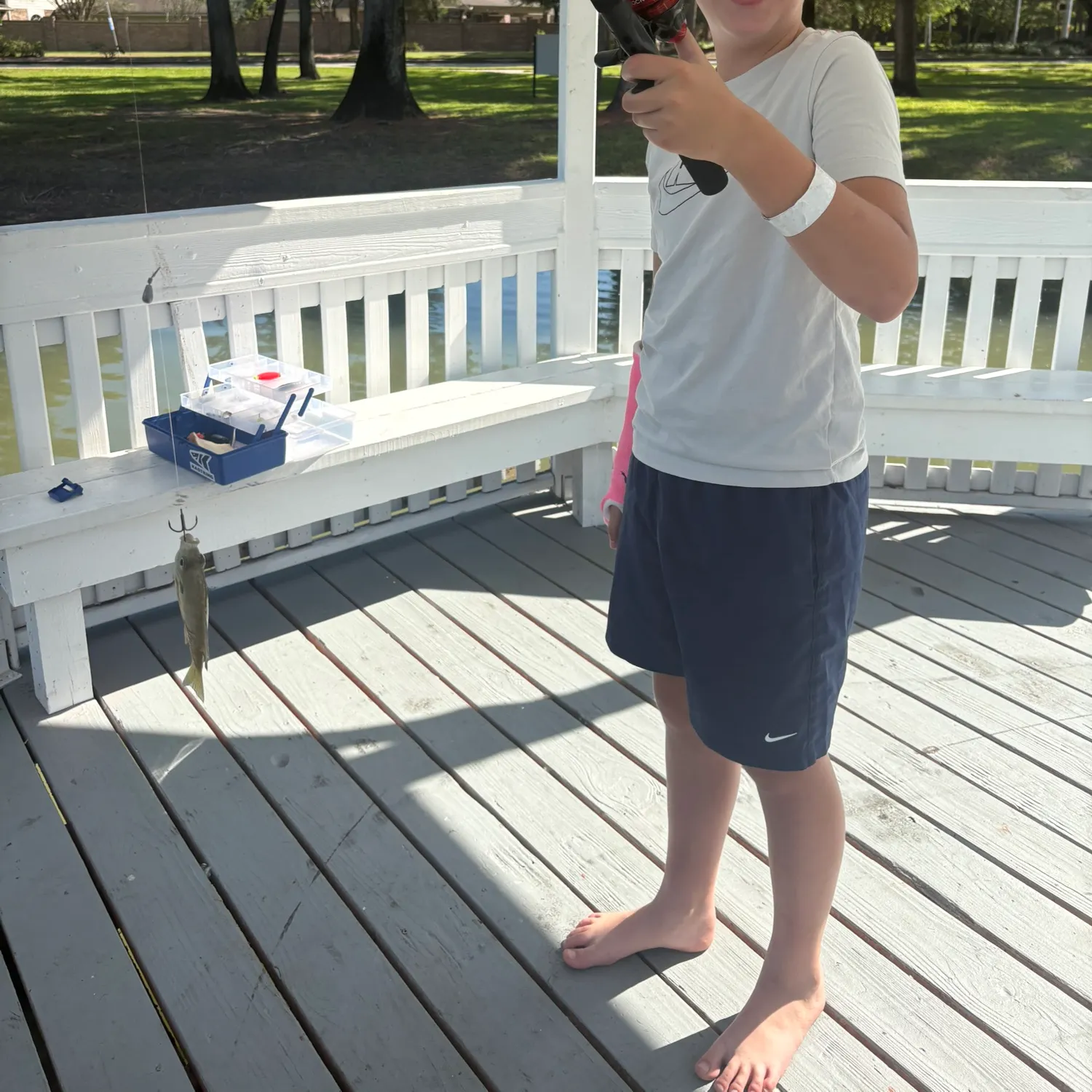 Bluegill caught on Fishbrain