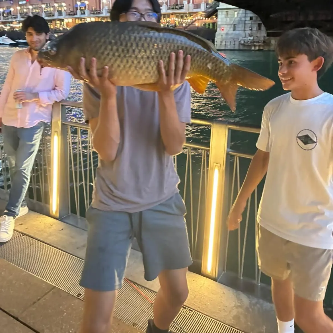 Common carp caught on Fishbrain