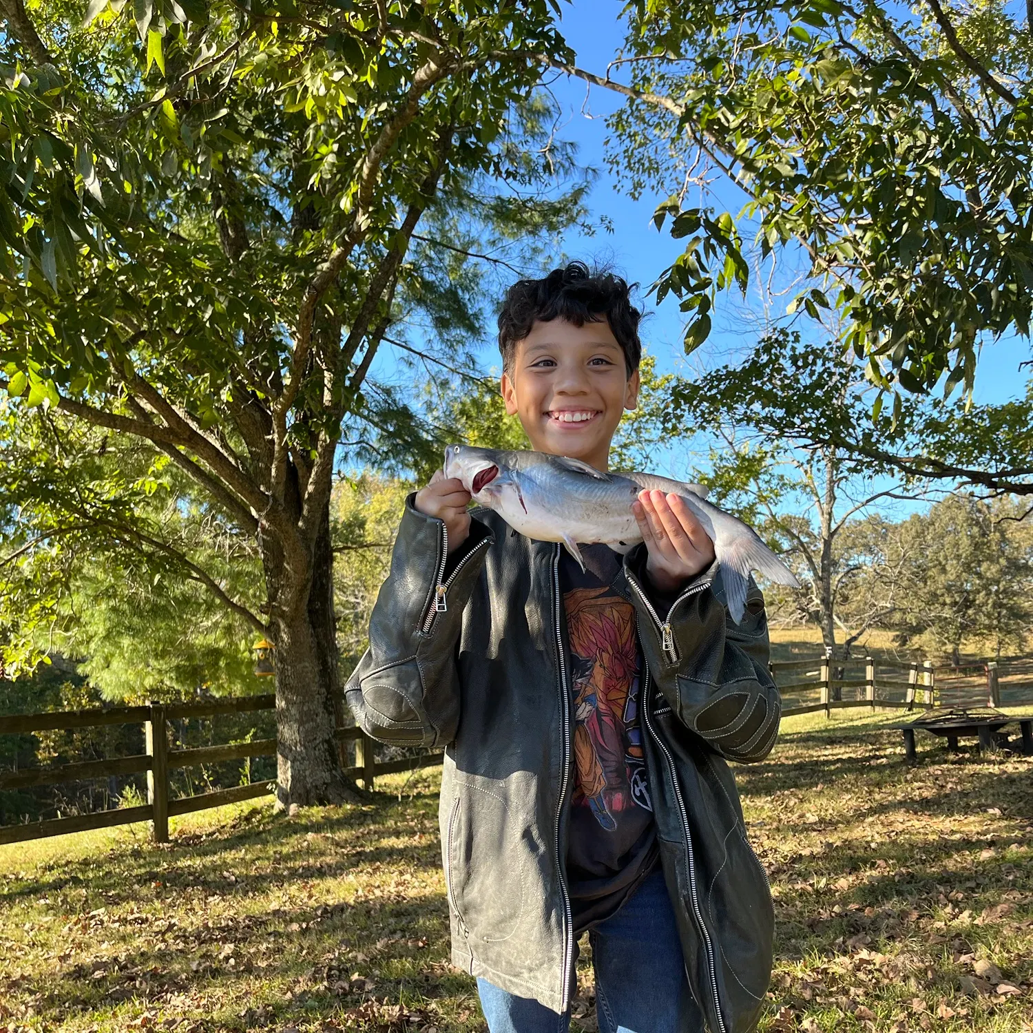 Channel catfish caught on Fishbrain