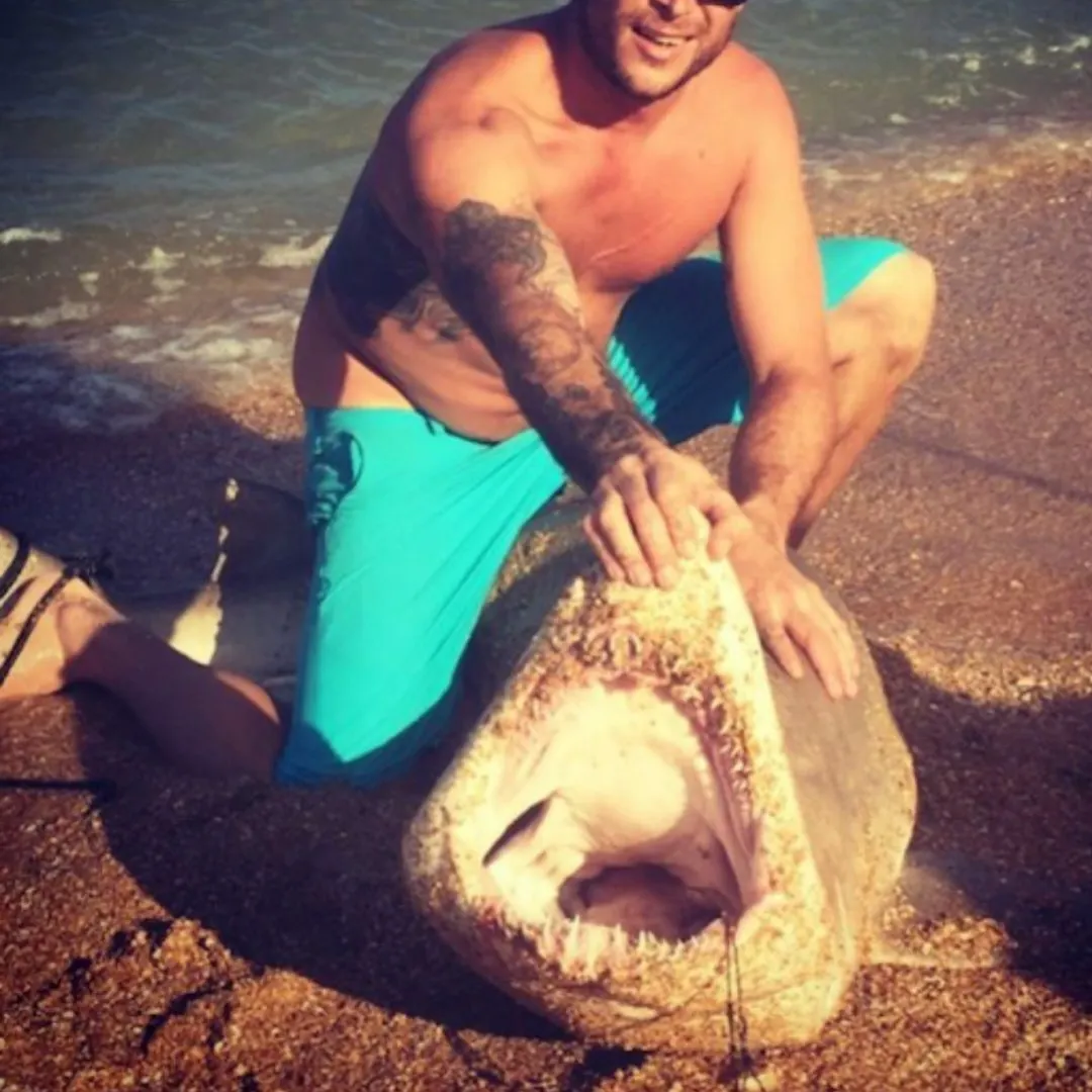 The most recent Sand tiger shark catches on Fishbrain