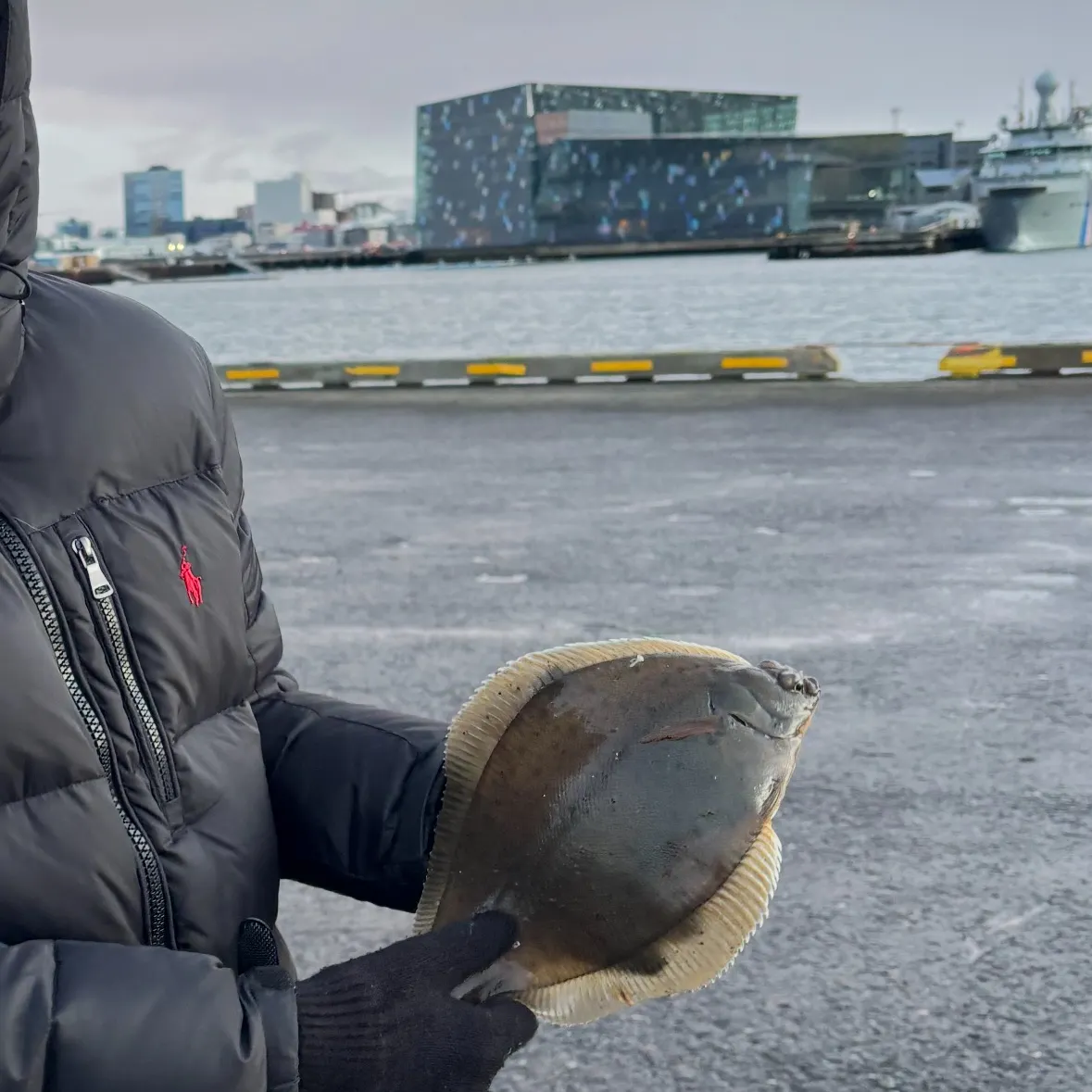 The most recent Common dab catches on Fishbrain