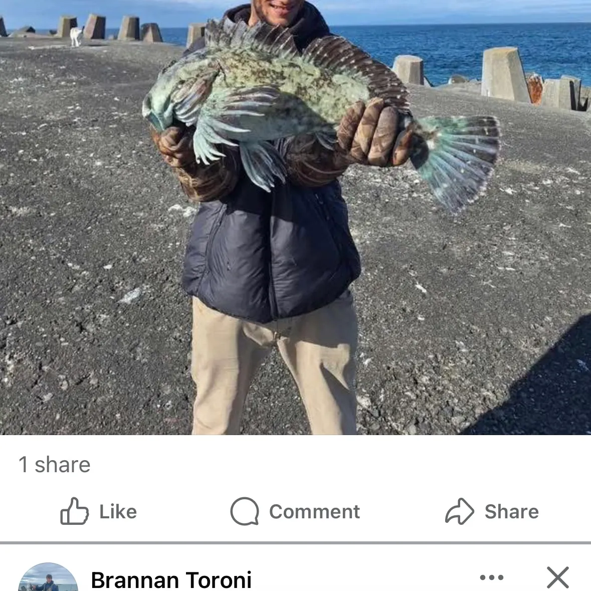 recently logged catches