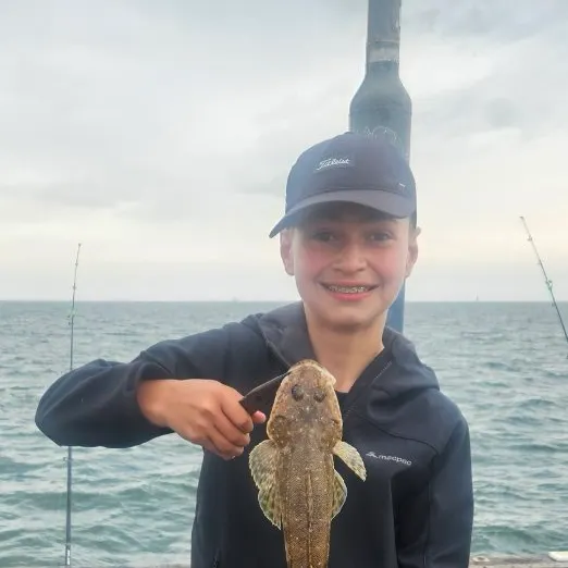 Blue-spotted flathead caught on Fishbrain
