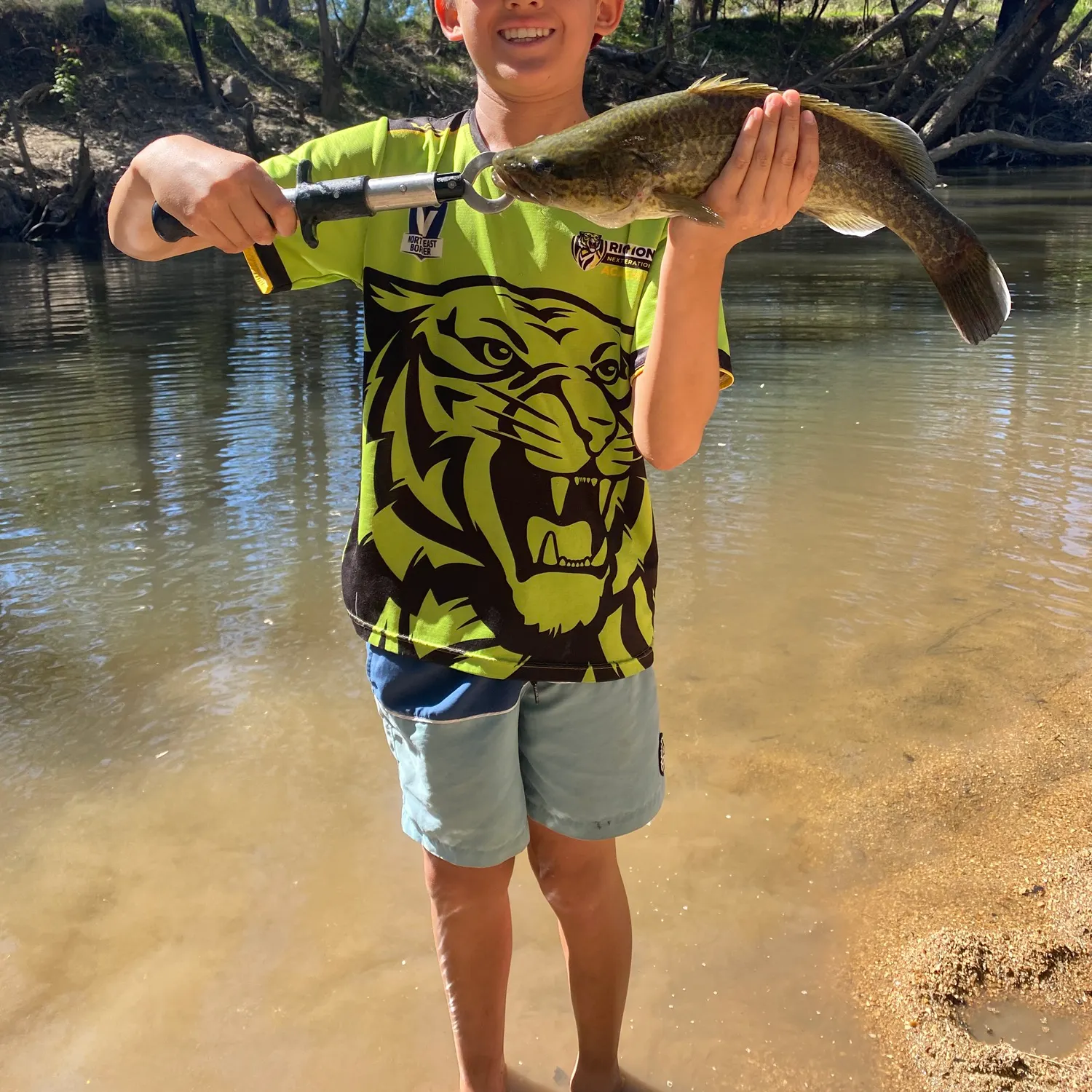 The most recent Murray cod catches on Fishbrain
