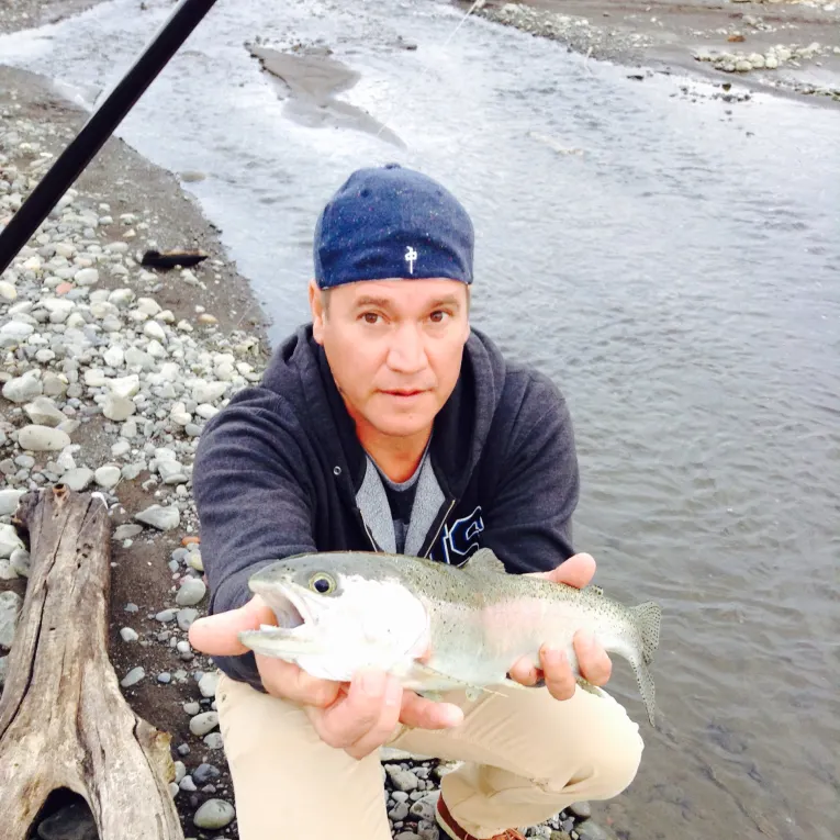 Rainbow trout caught on Fishbrain