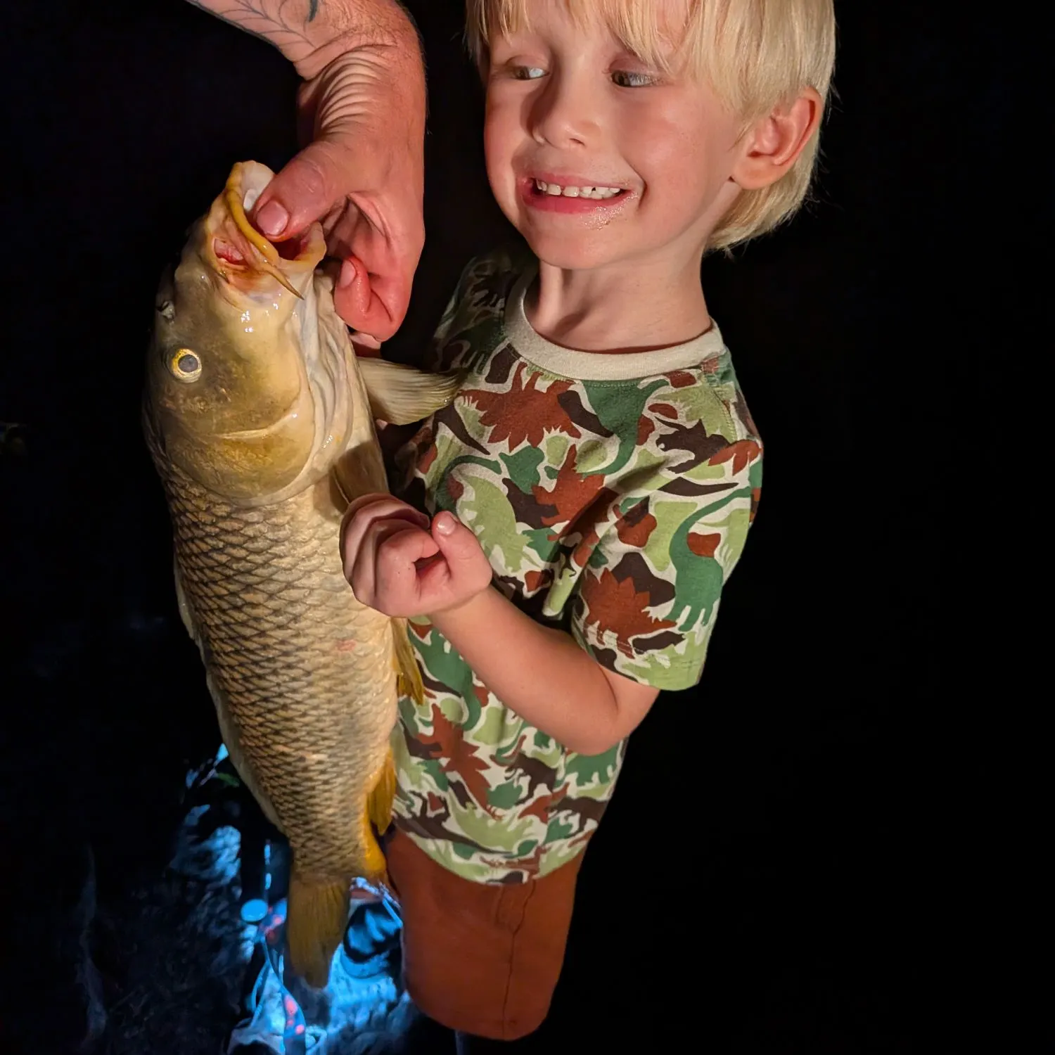Common carp caught on Fishbrain