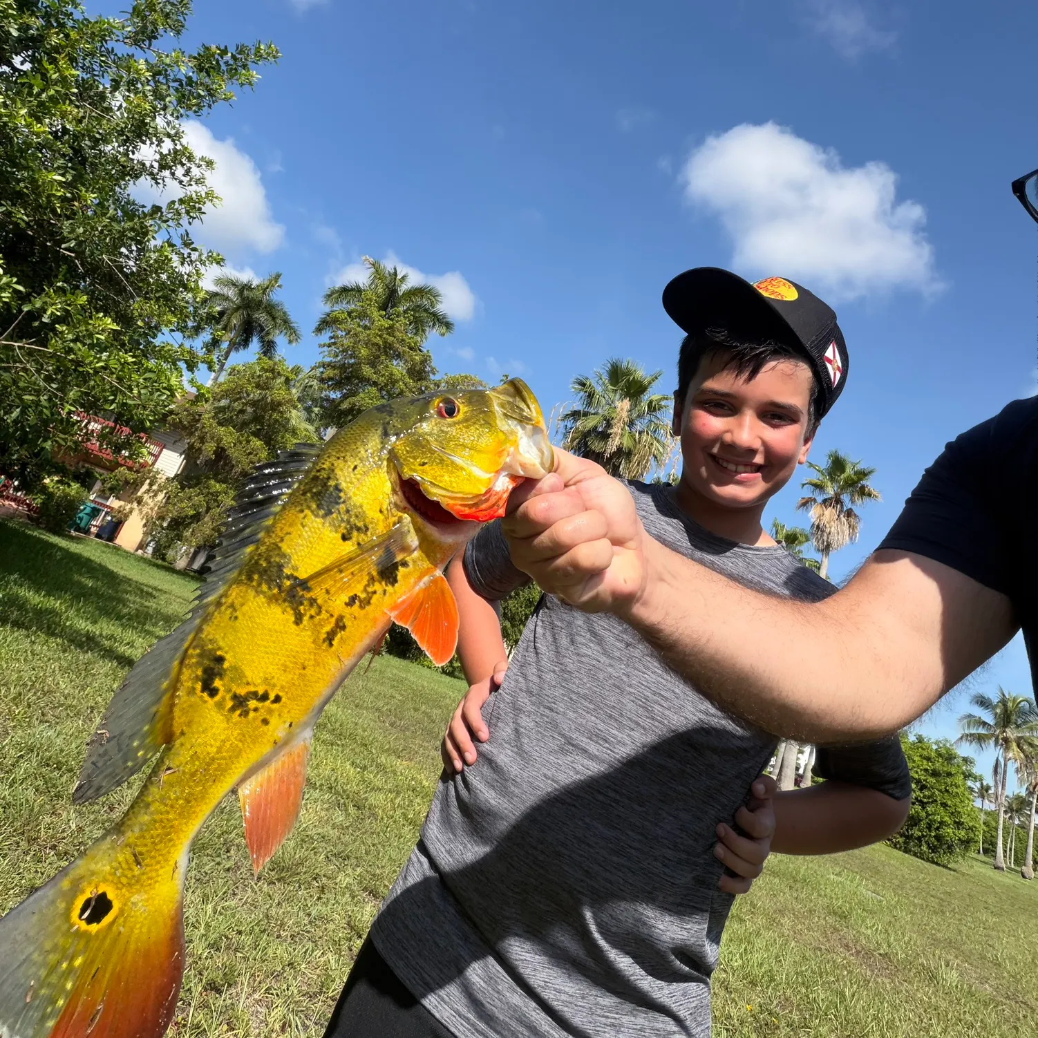 catch