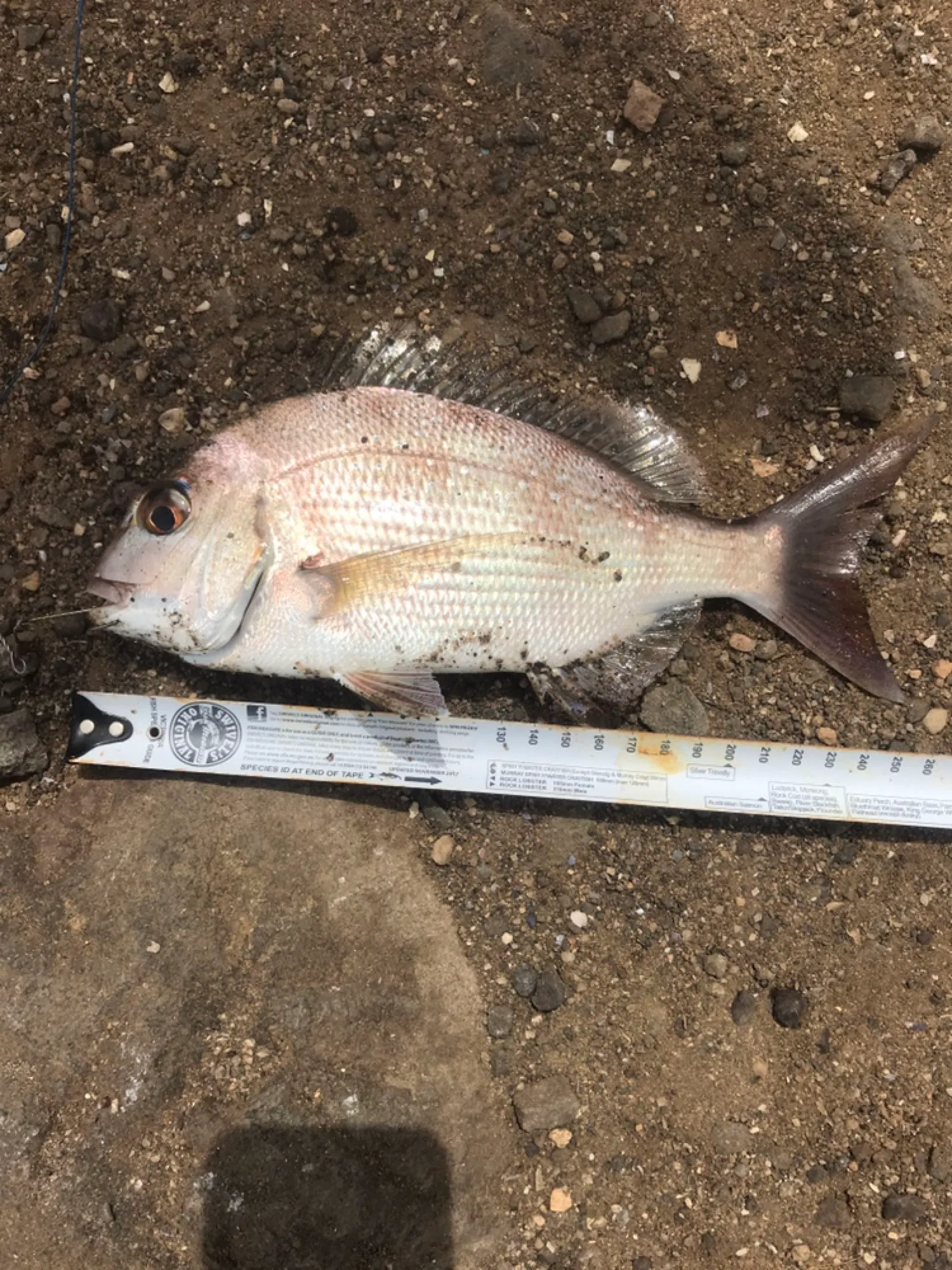 Post image from ayildirim1984